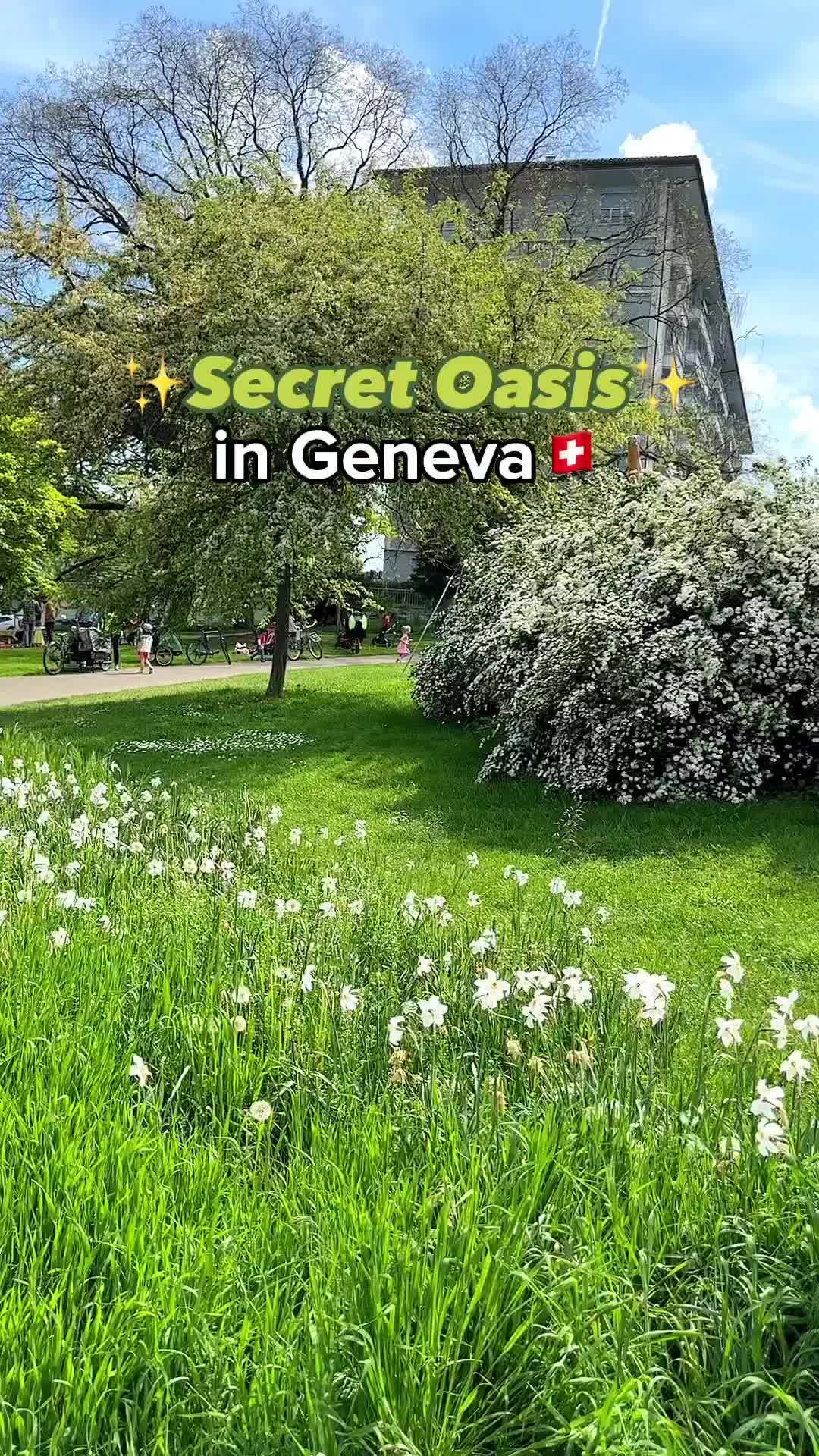 Discover Geneva's Hidden Gem: Parc Beaulieu & Parc des Cropettes