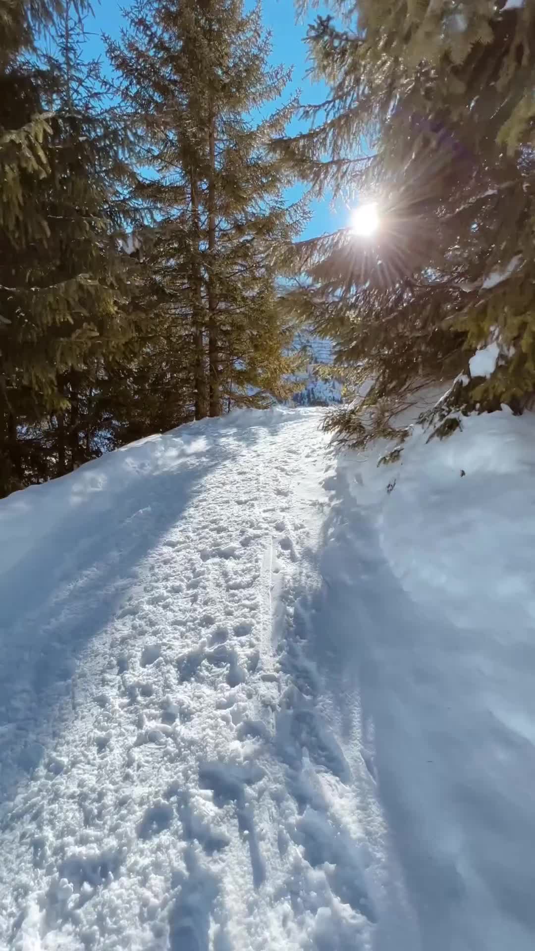 Romantic Winter Walk in Lech to Oberlech, Austria 🏔❄️