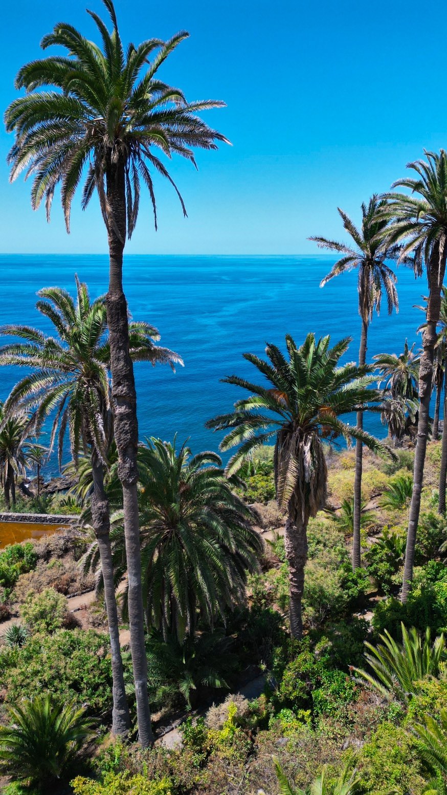 Santa Cruz de Tenerife, Spain