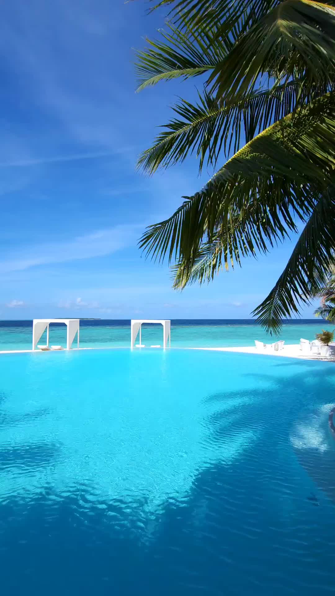 Stunning Infinity Pool at Amilla Maldives Resort