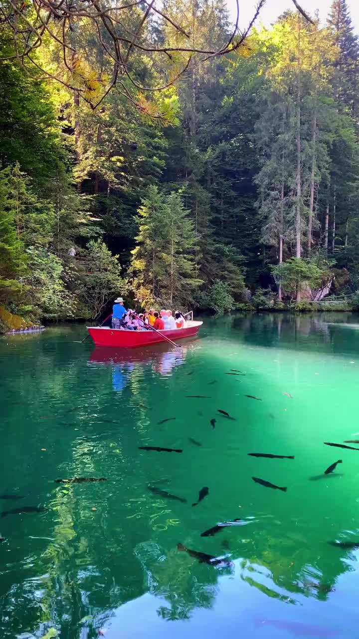 Discover Tranquil Blausee Lake, Switzerland