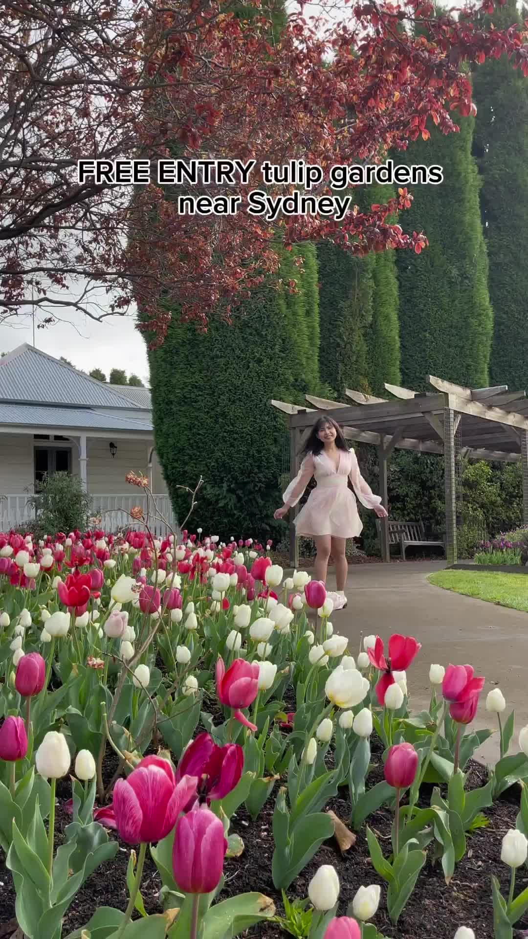 Free Tulip Gardens Near Sydney to Visit This Spring