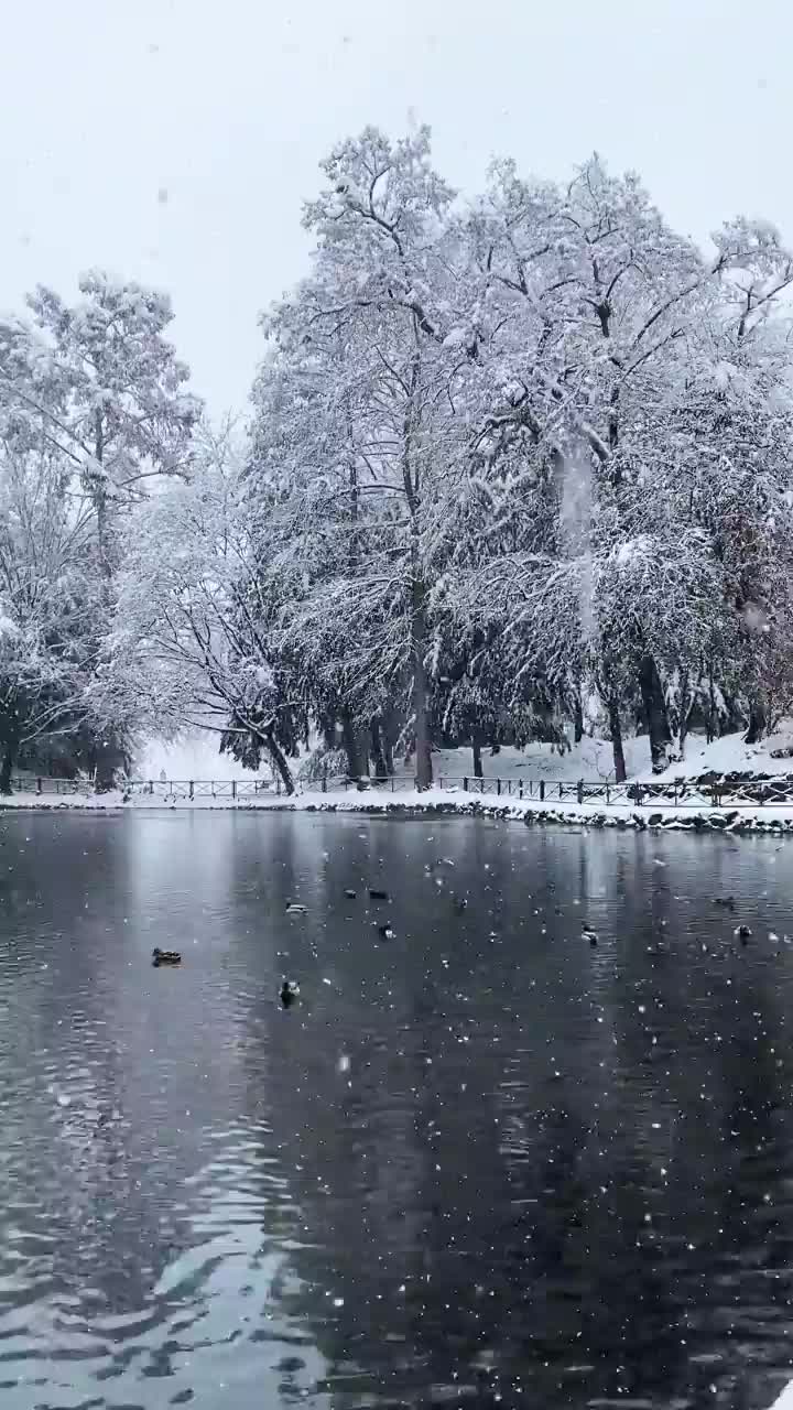 Winter Magic at Parco di Monza ❄️