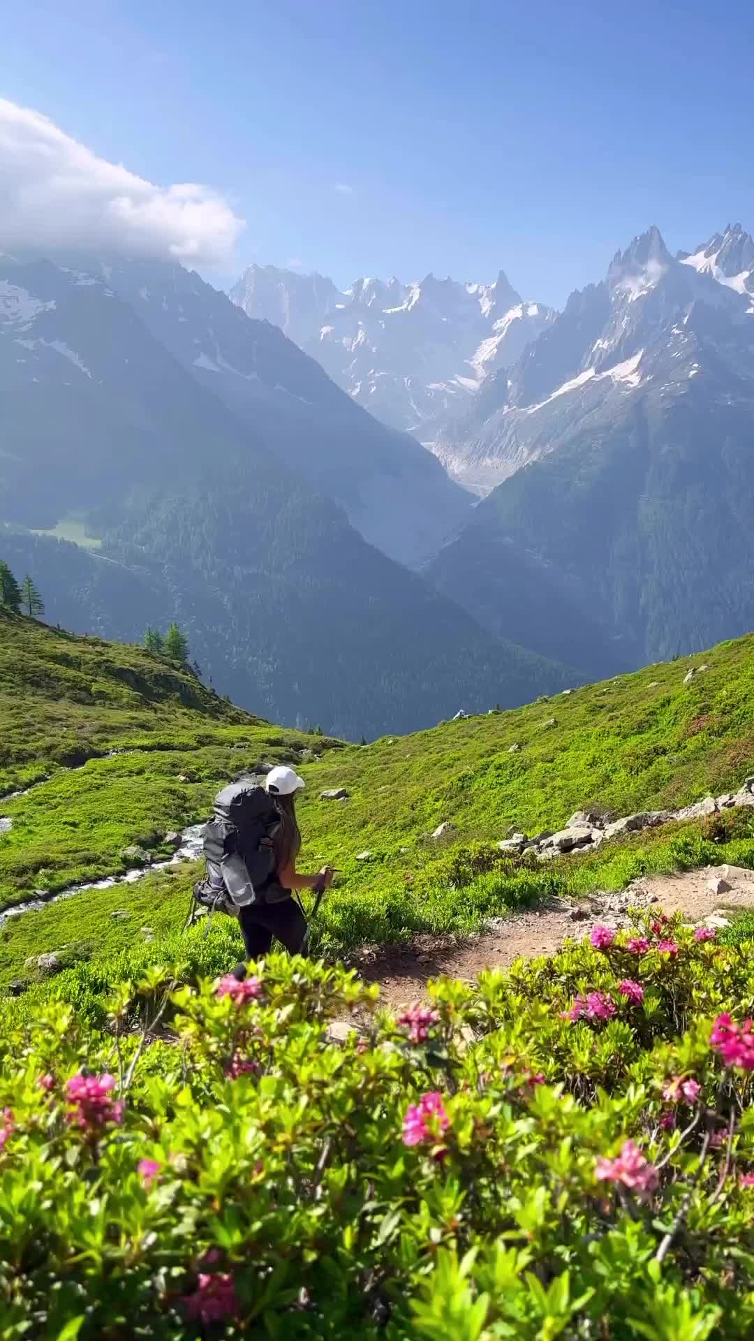 Explore the Stunning French Alps in Chamonix