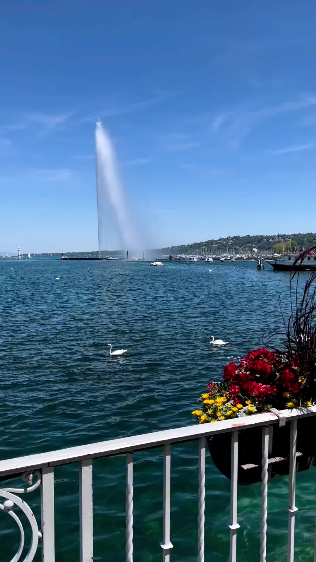 Strolling Through Geneva on a Sunny Summer Day