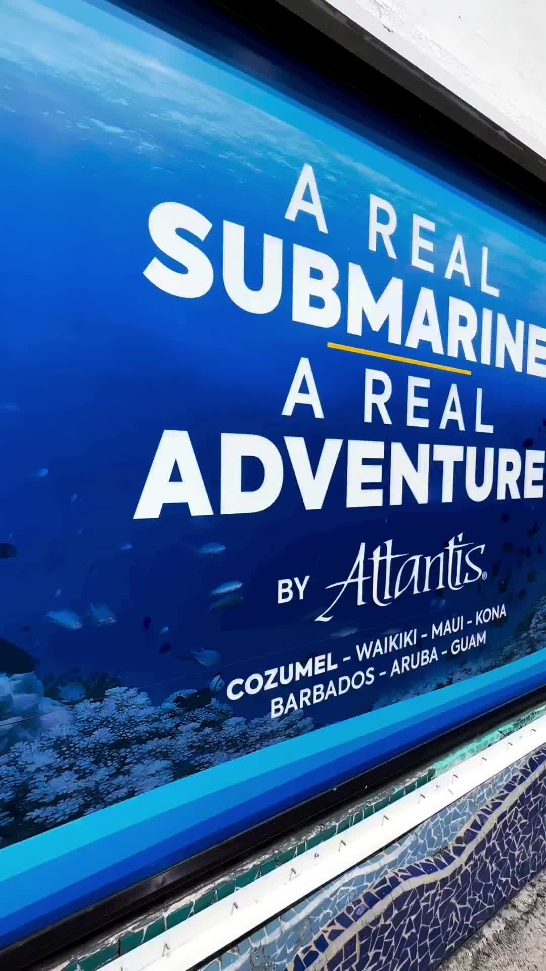 Dive 100+ Feet Deep in the Caribbean Sea with Atlantis Submarines