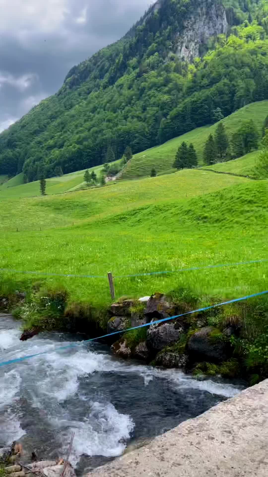Discover Appenzell: Top Summer Hikes & Landscapes