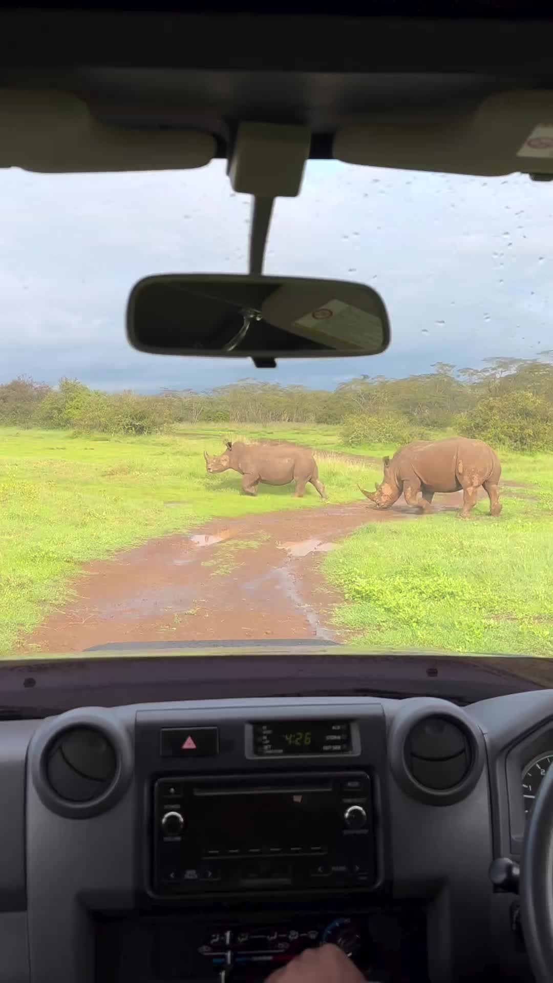 Morning Drive to Solio Lodge, Laikipia, Kenya