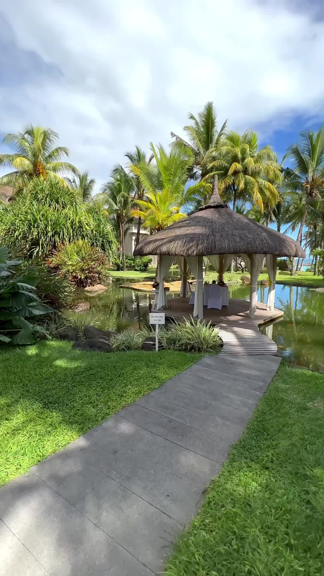 Breakfast in a Koi Pond at LUX* Belle Mare, Mauritius