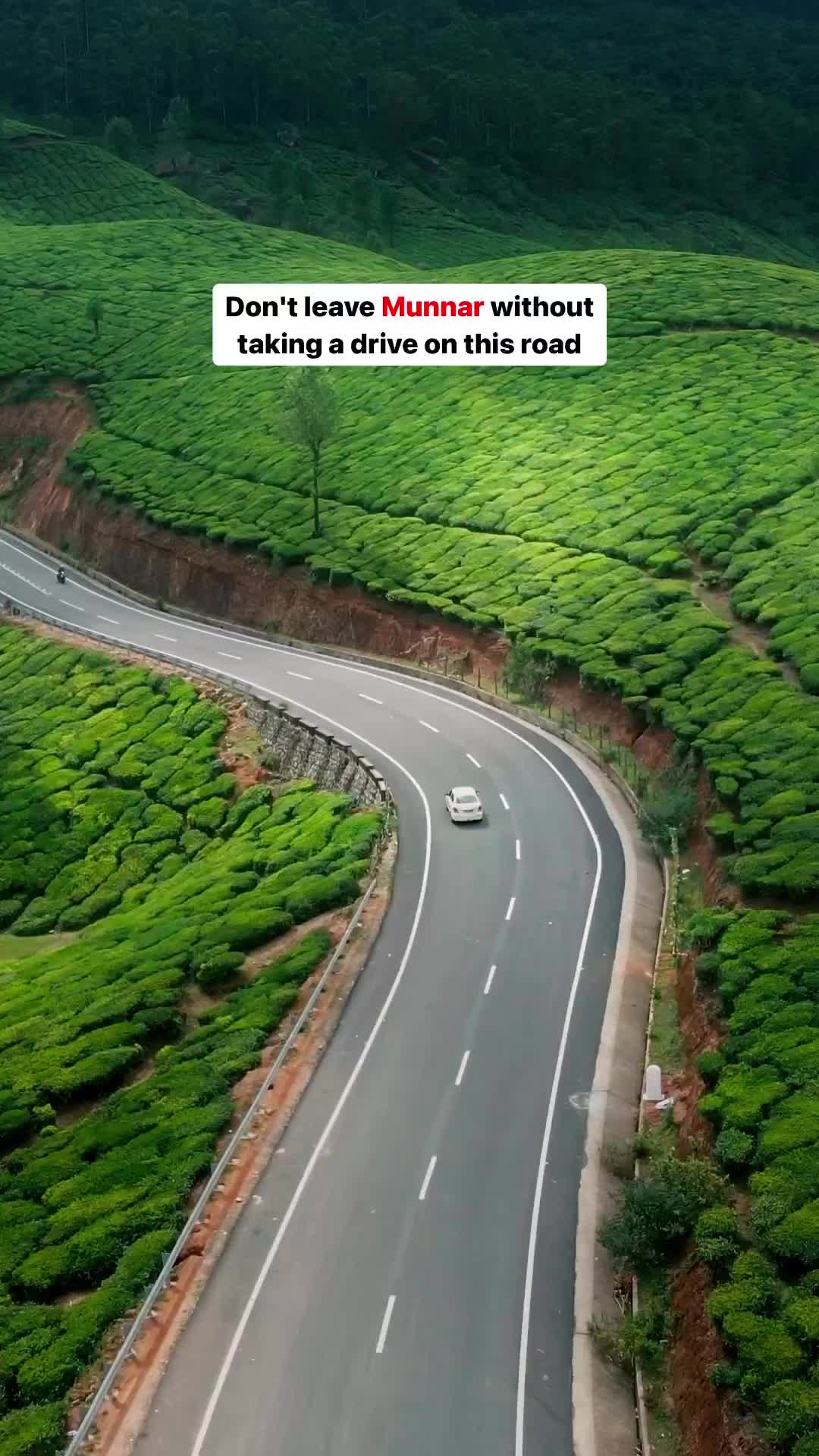 Discover Munnar's Scenic Gap Road: A Must-Visit in Kerala