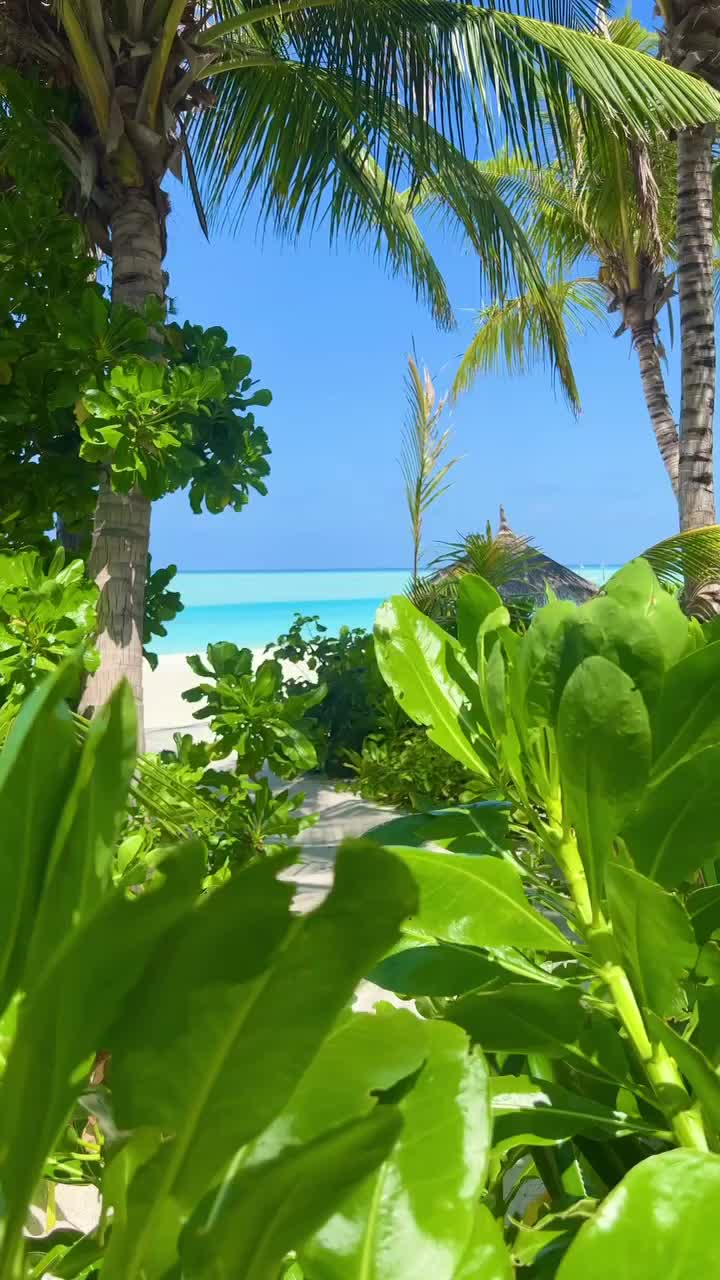 Stunning Beach Reveal at Anantara Dhigu Maldives