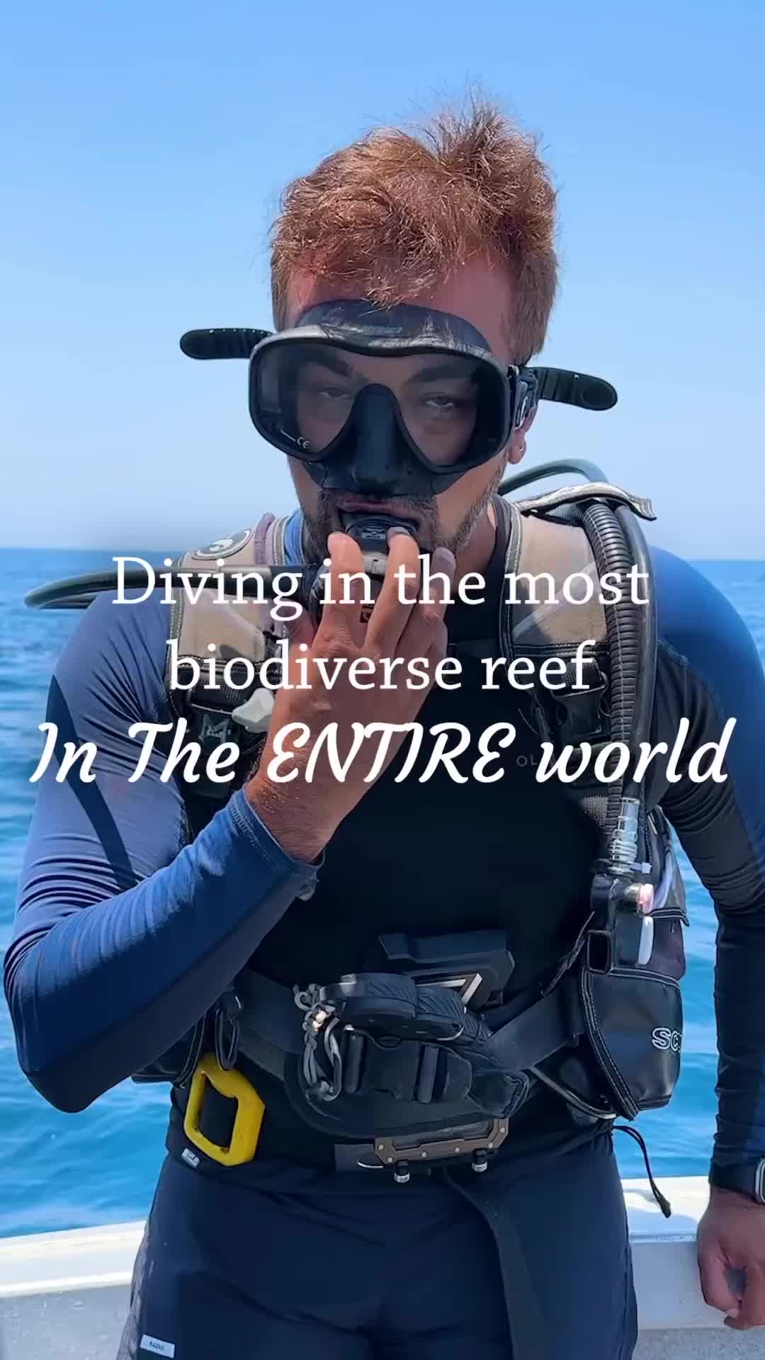 Diving Atauro Island: The World's Most Biodiverse Reef