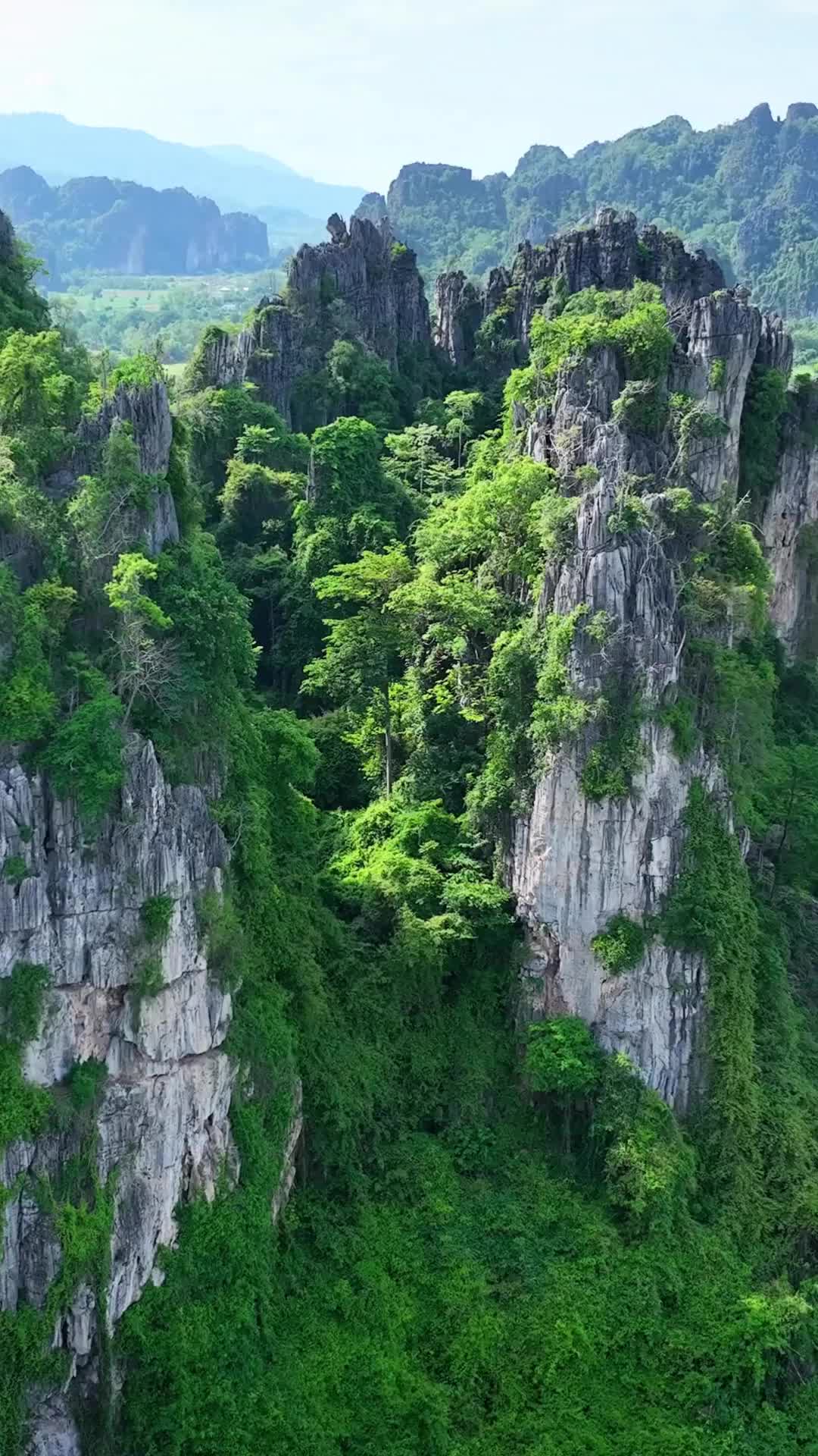 Dream Landscapes in Phitsanulok, Thailand 🌿
