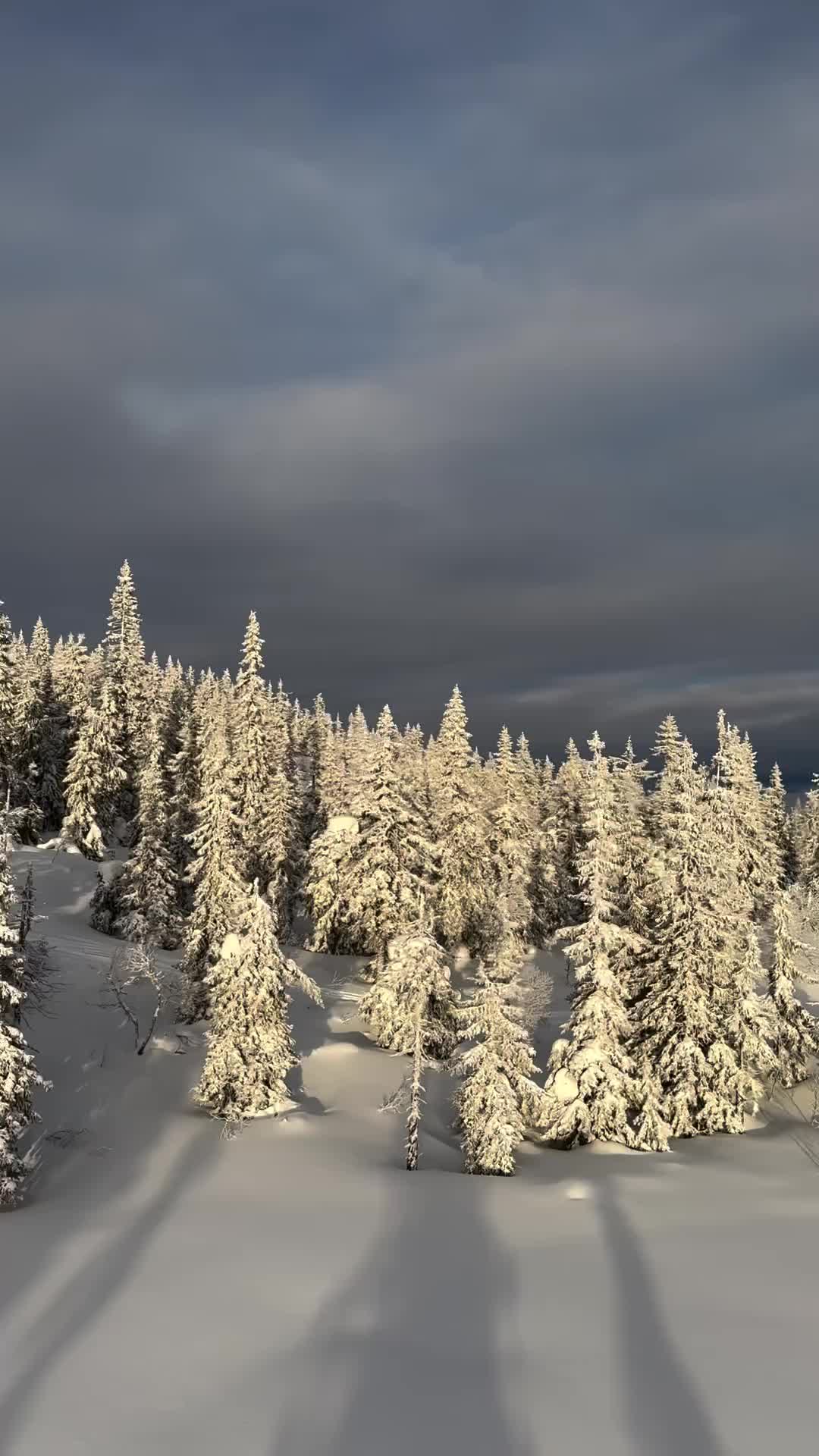 Best Winter Season in Tryvann Ski Resort, Norway