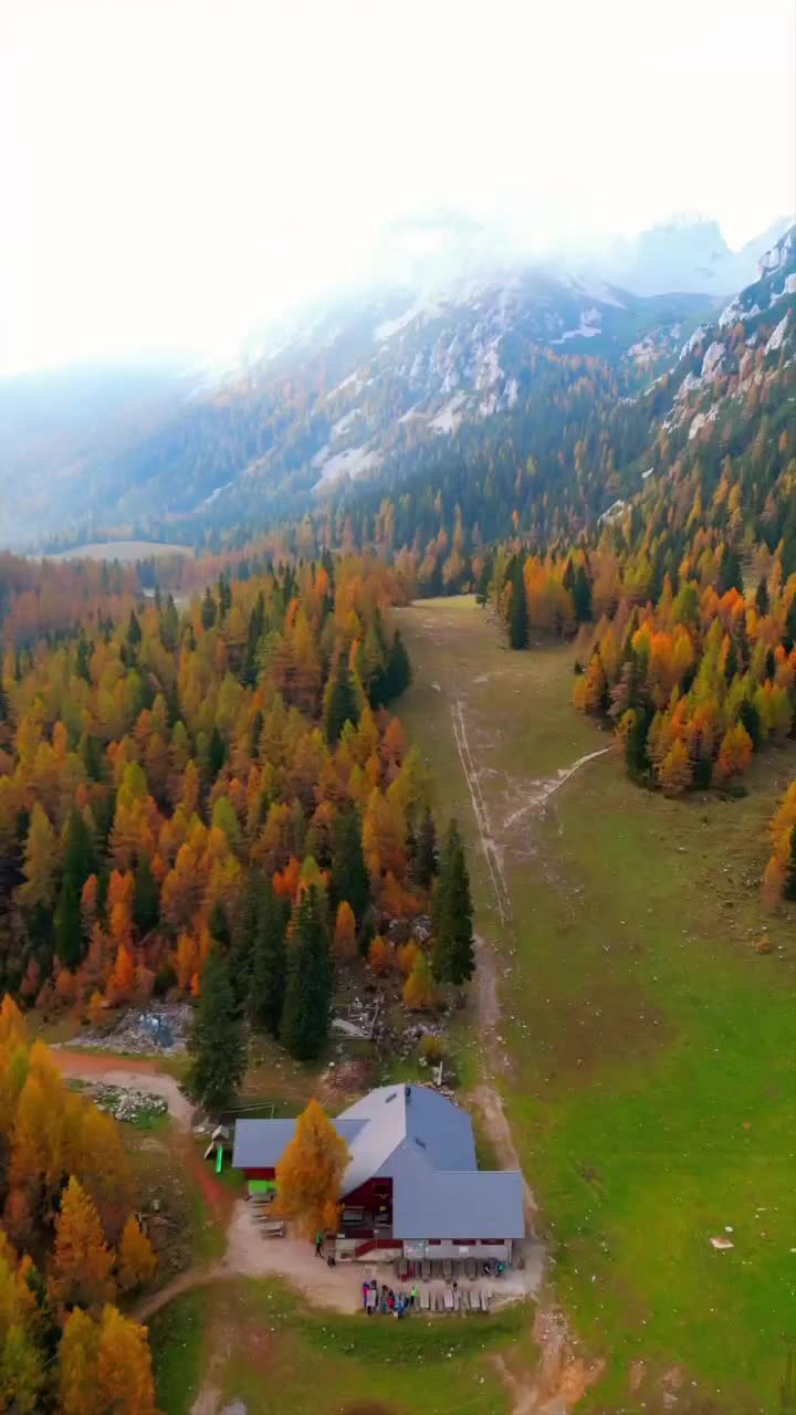 📍Dom na Zelenici 1536m, Slovenija 🇸🇮
🌍🌤️⛰️🍂
#slovenia #sloveniatravel #photooftheday #igslovenia #adventure #feelslovenia #hikingtrail #vrtača #karavanke #mountains #travelphotography  #travel #photography #europetravel #hikingadventures #loveslovenia  #picoftheday #slovenia_ig #travel  #dronephotography #hiking #nature #djimini3pro #trustmeivebeenthere #hikingculture  #europe #slovenija #autumn #travelphotography