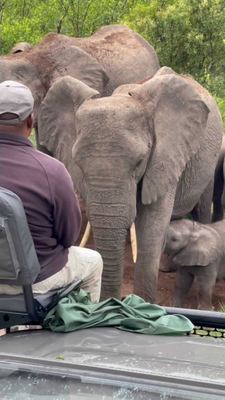 Sabie Park, South Africa