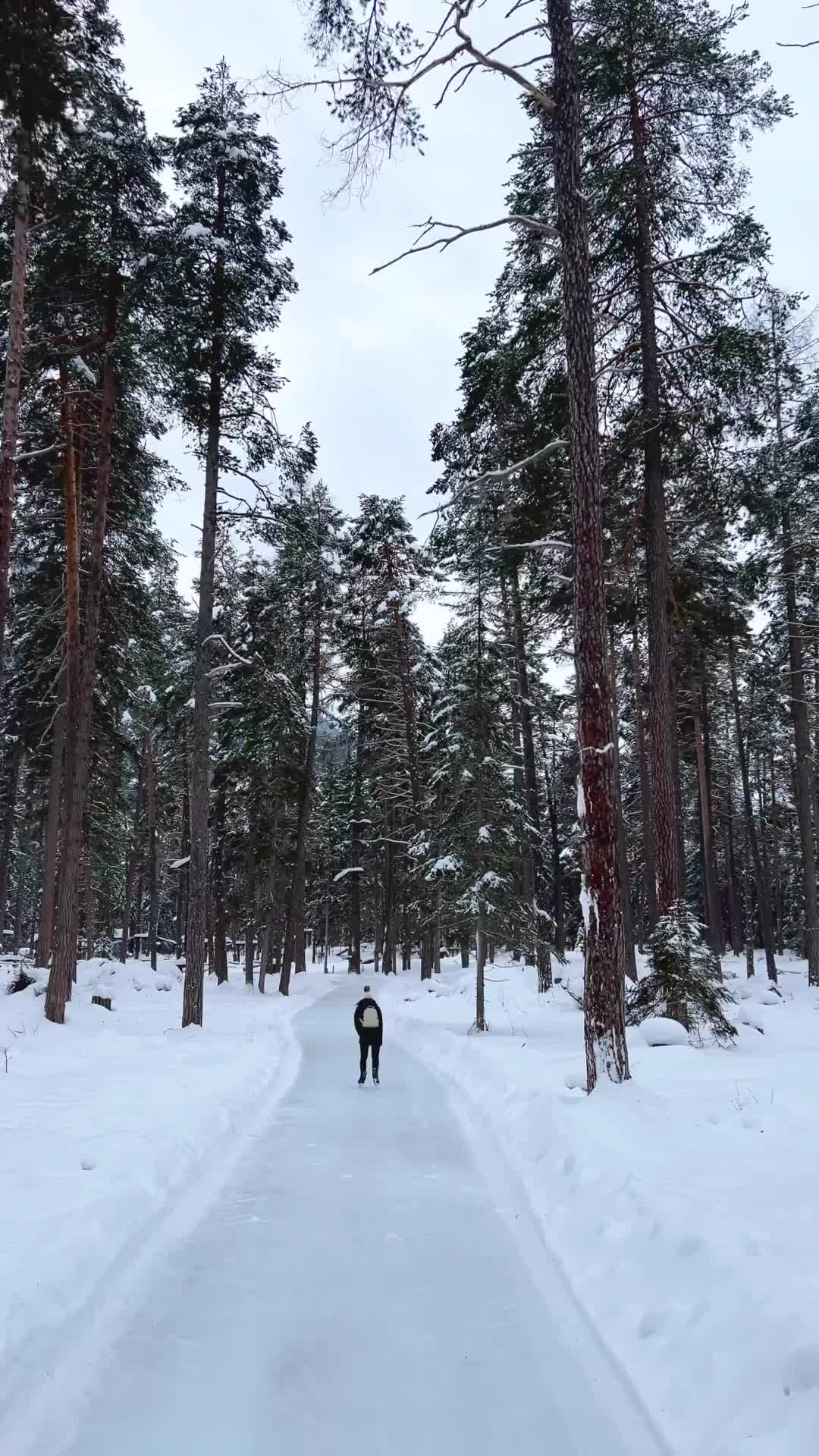 Ice Skating Adventure in Engadin Forest 🌲⛸️