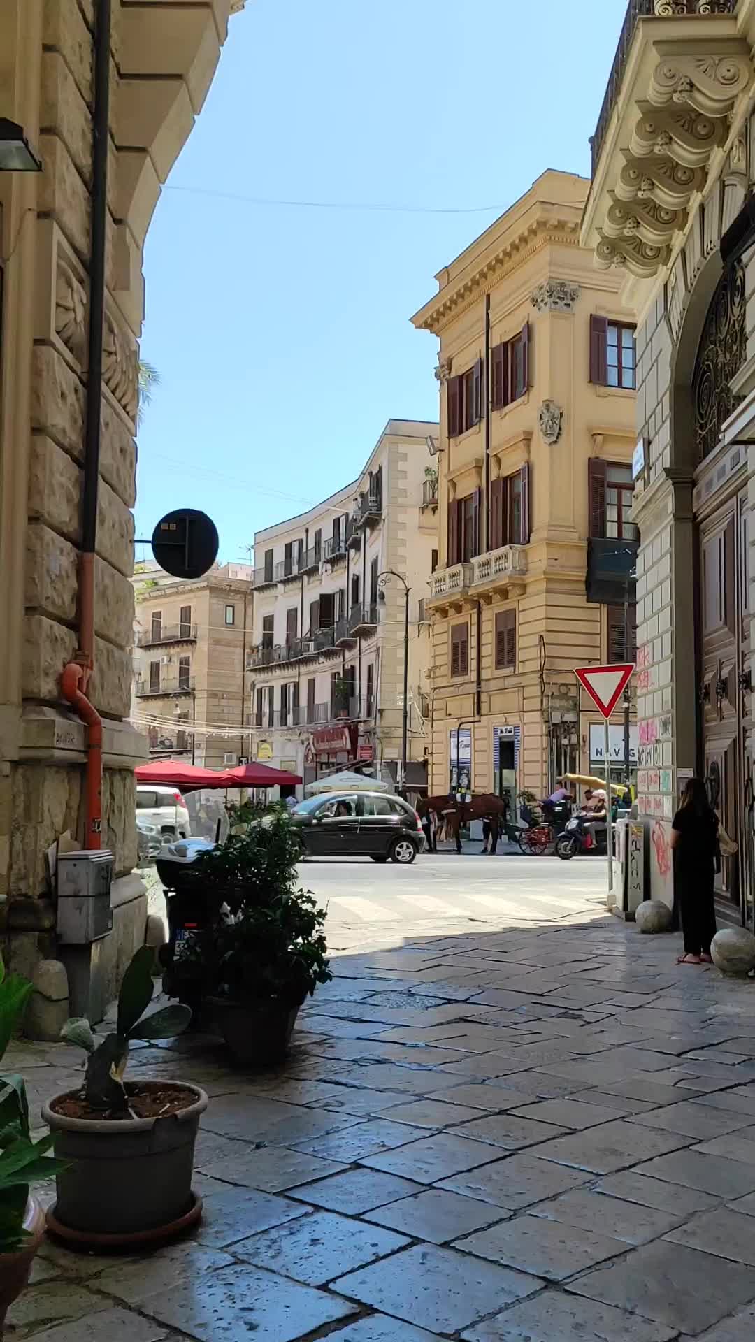 Explore Piazza San Domenico in Palermo, Italy