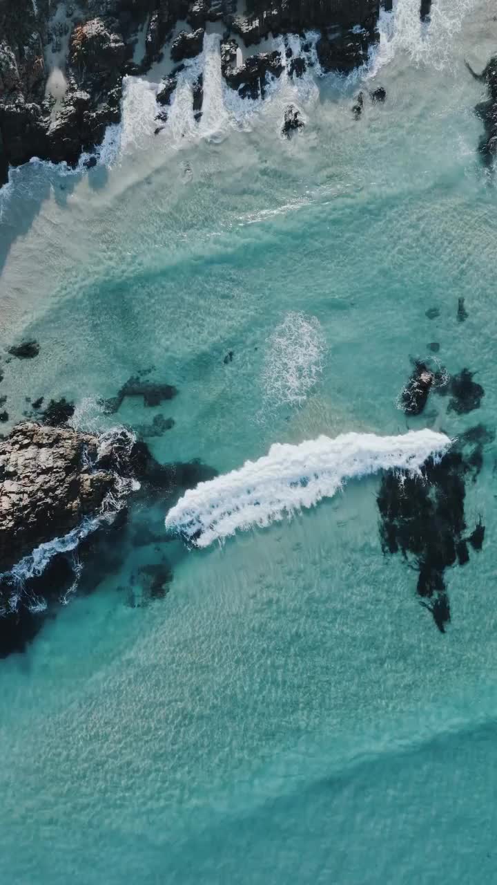 Tasmanian Coastal Blues at Bay of Fires 🌊