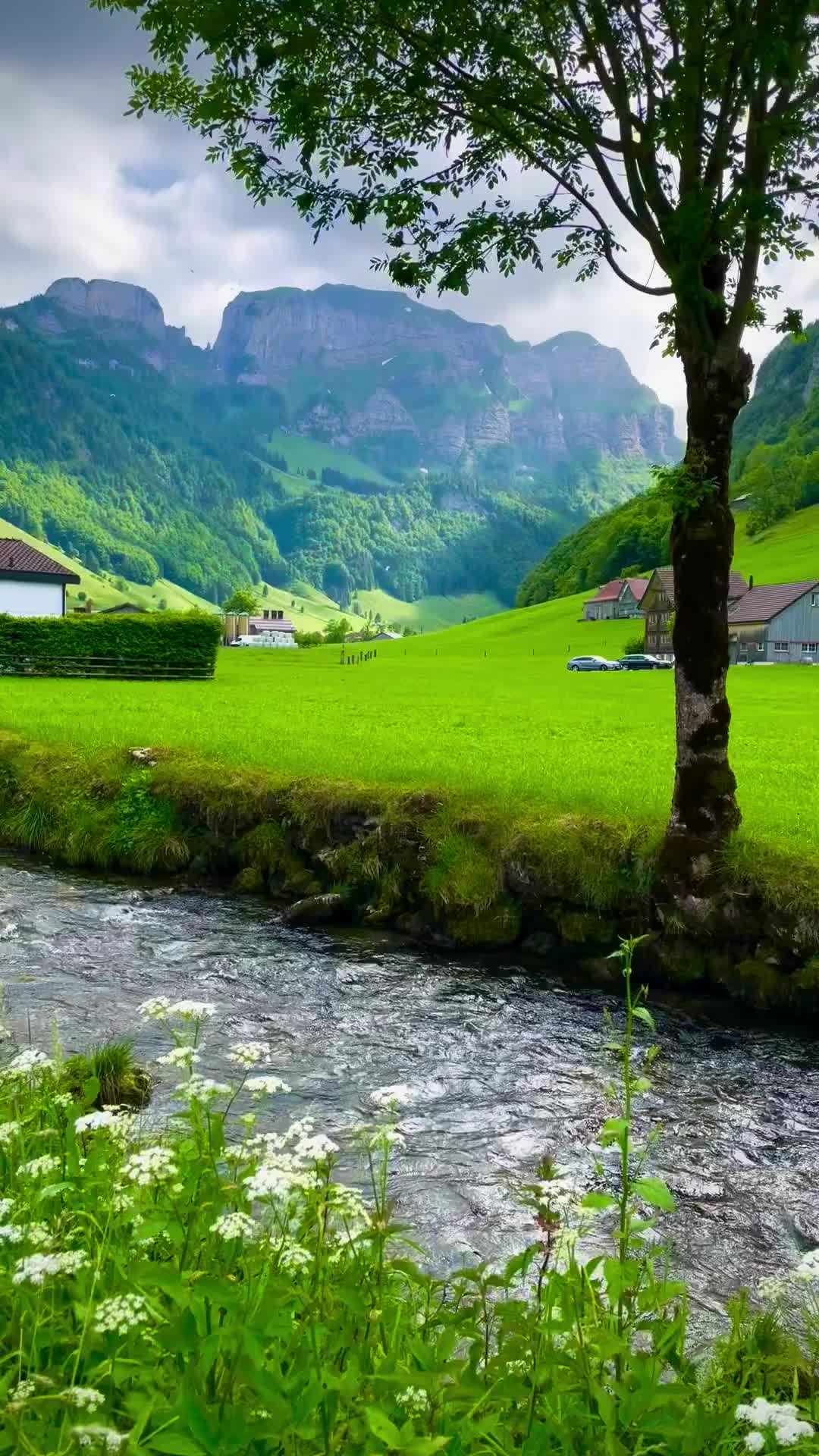 Discover the Beauty of Appenzell, Switzerland 🏞️