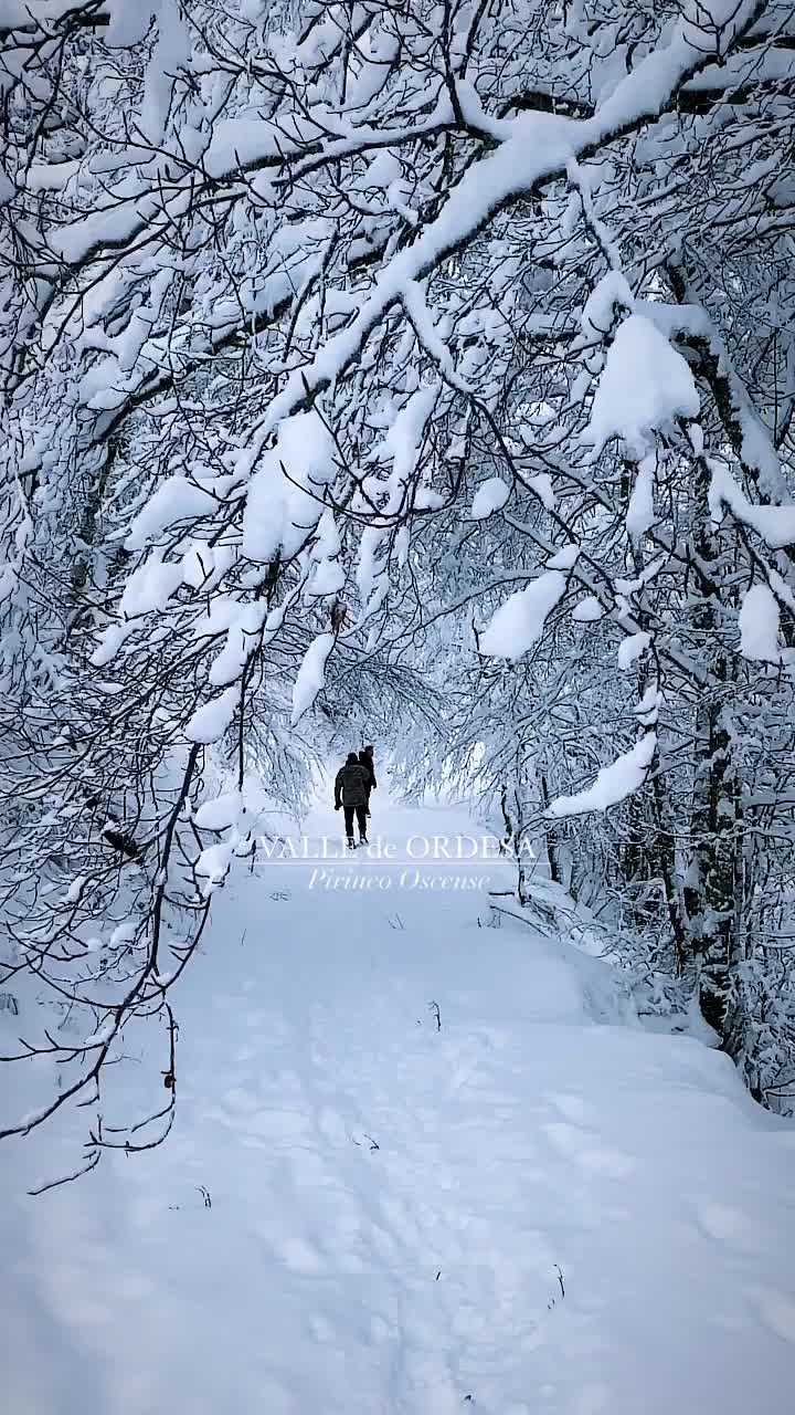 Discover Snowy Valle de Ordesa in Huesca 💙🏔️