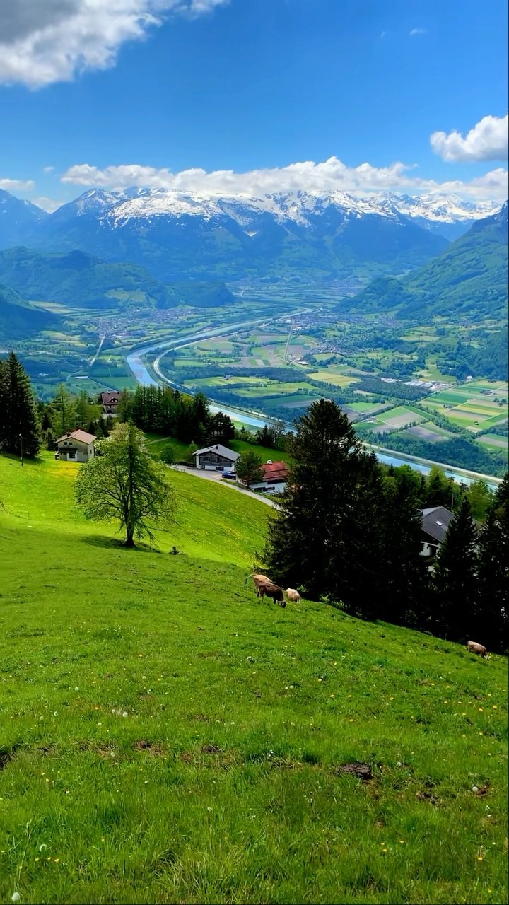 Hello everyone how was your day?
Swiss Alps 🇨🇭look at that view the cows 🐄 have the best view what do you guys think 
#wonderful_swiss