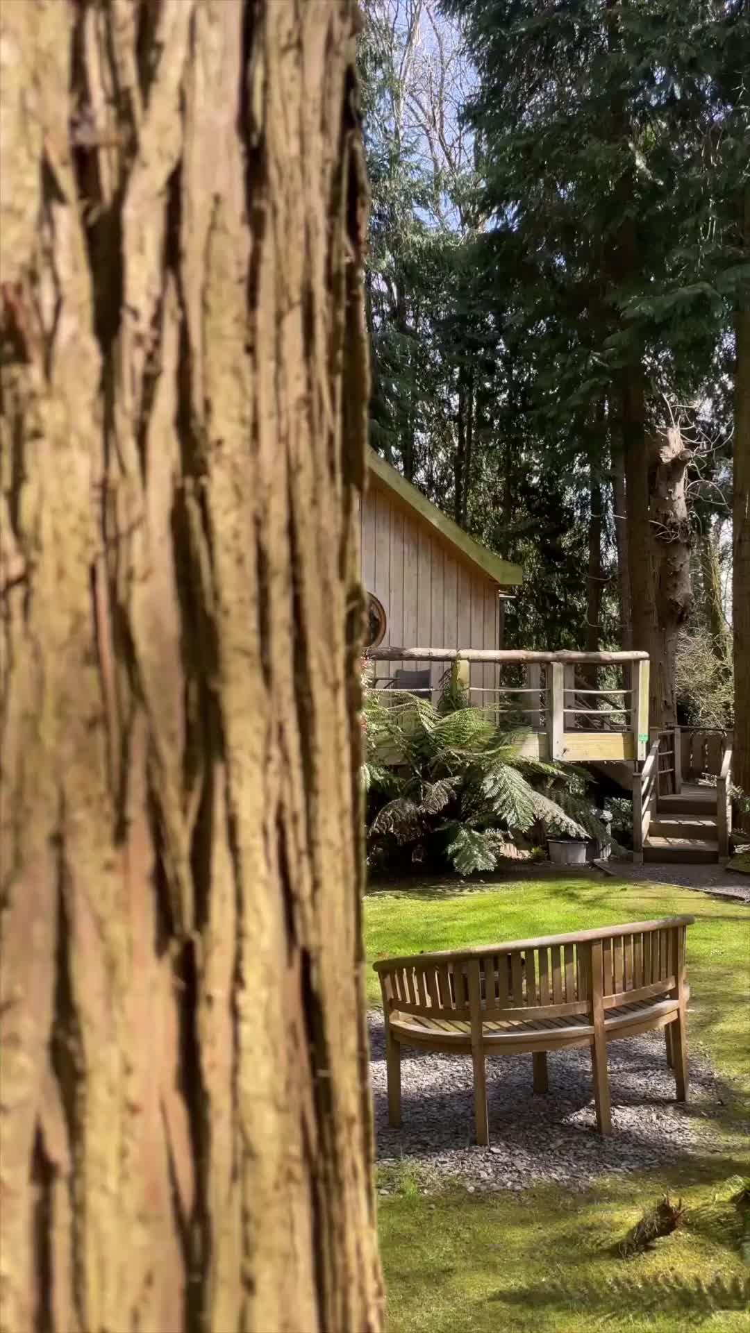 The Birdhouse at The Yurt Retreat in Somerset