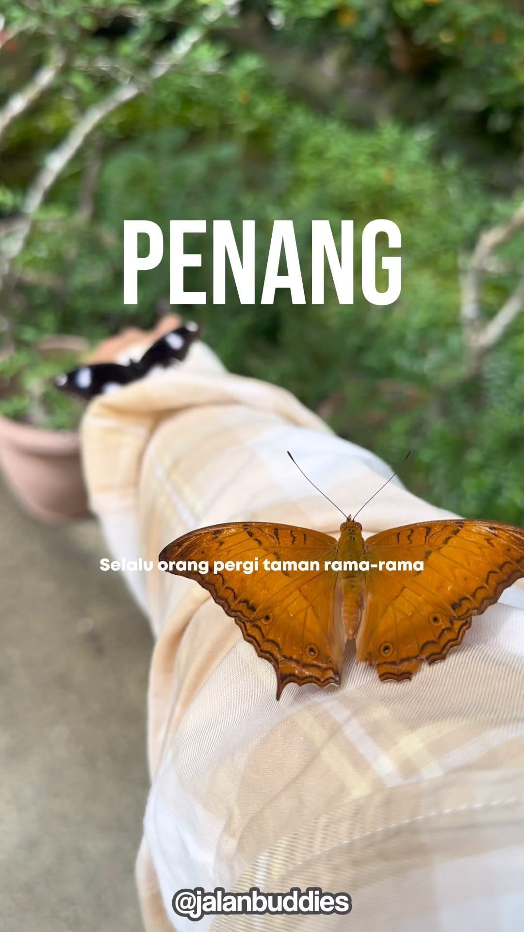 3-Day Exploration of Penang