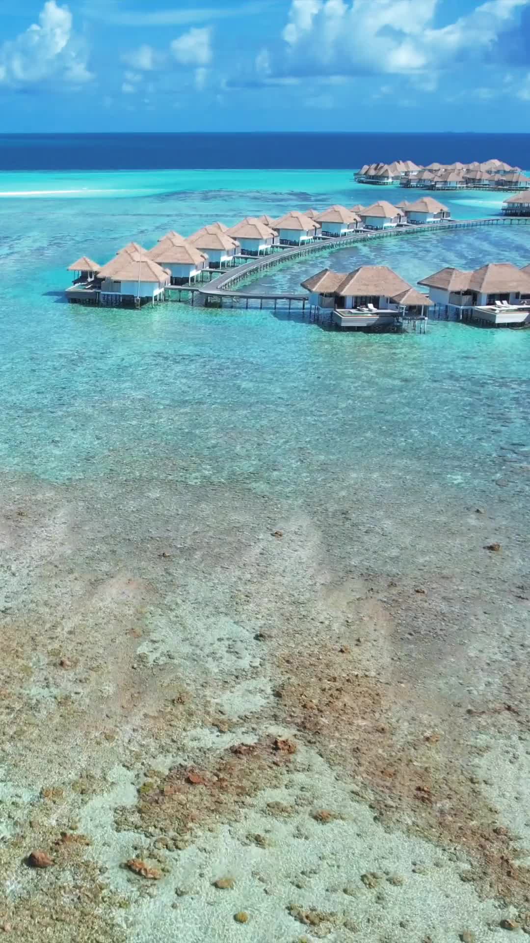 50 Shades of Blue at COMO Maalifushi, Maldives