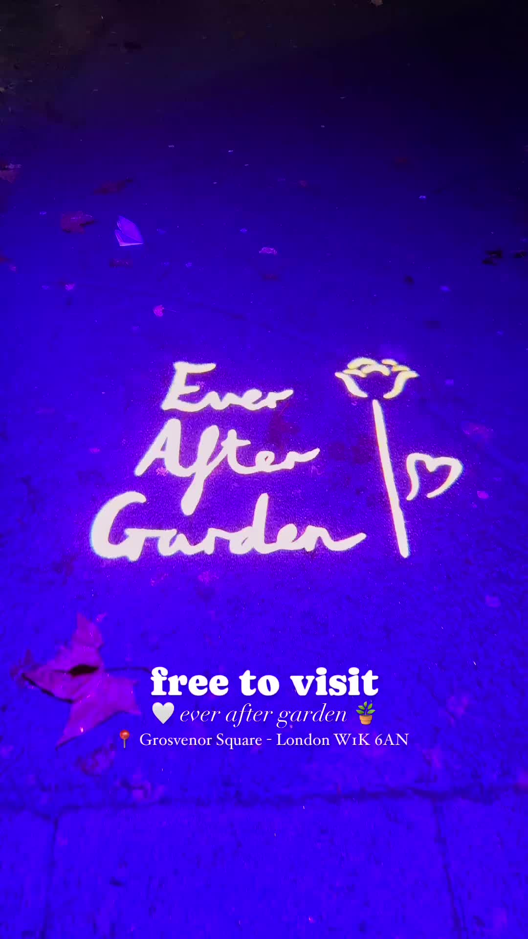 🌹 Free Ever After Garden: London's Glowing Roses