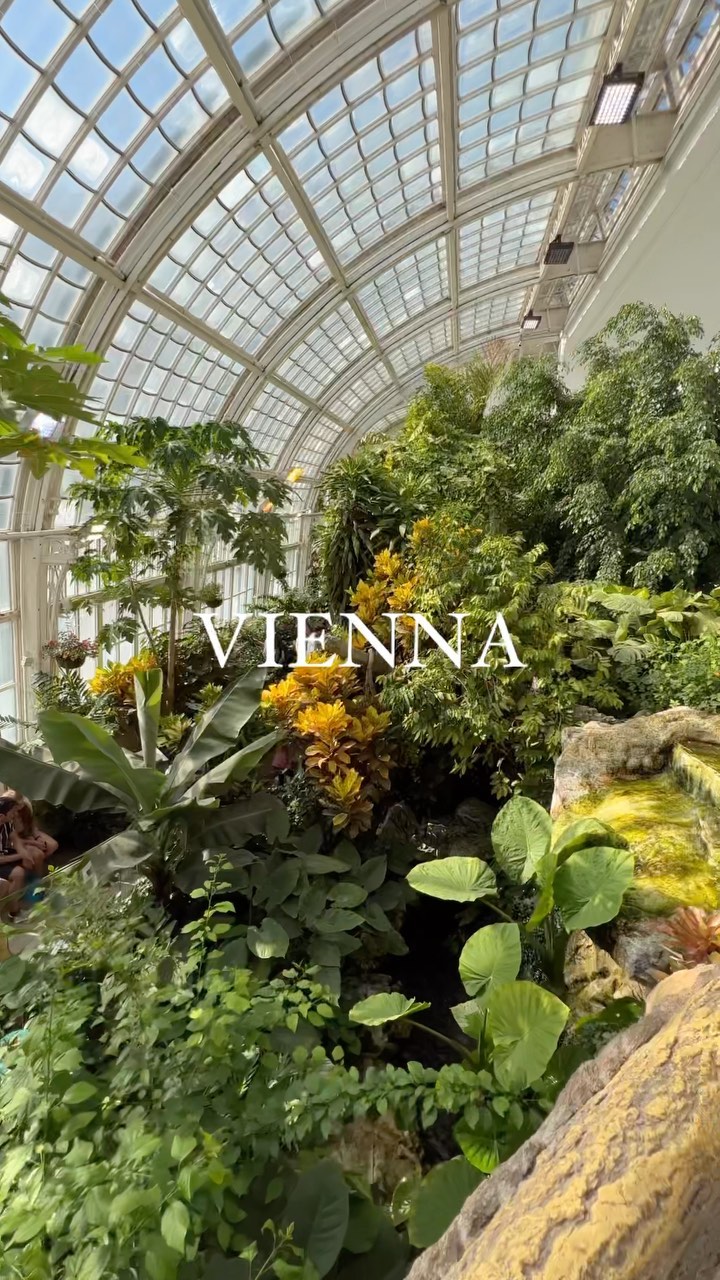 4-day Trip to Vienna