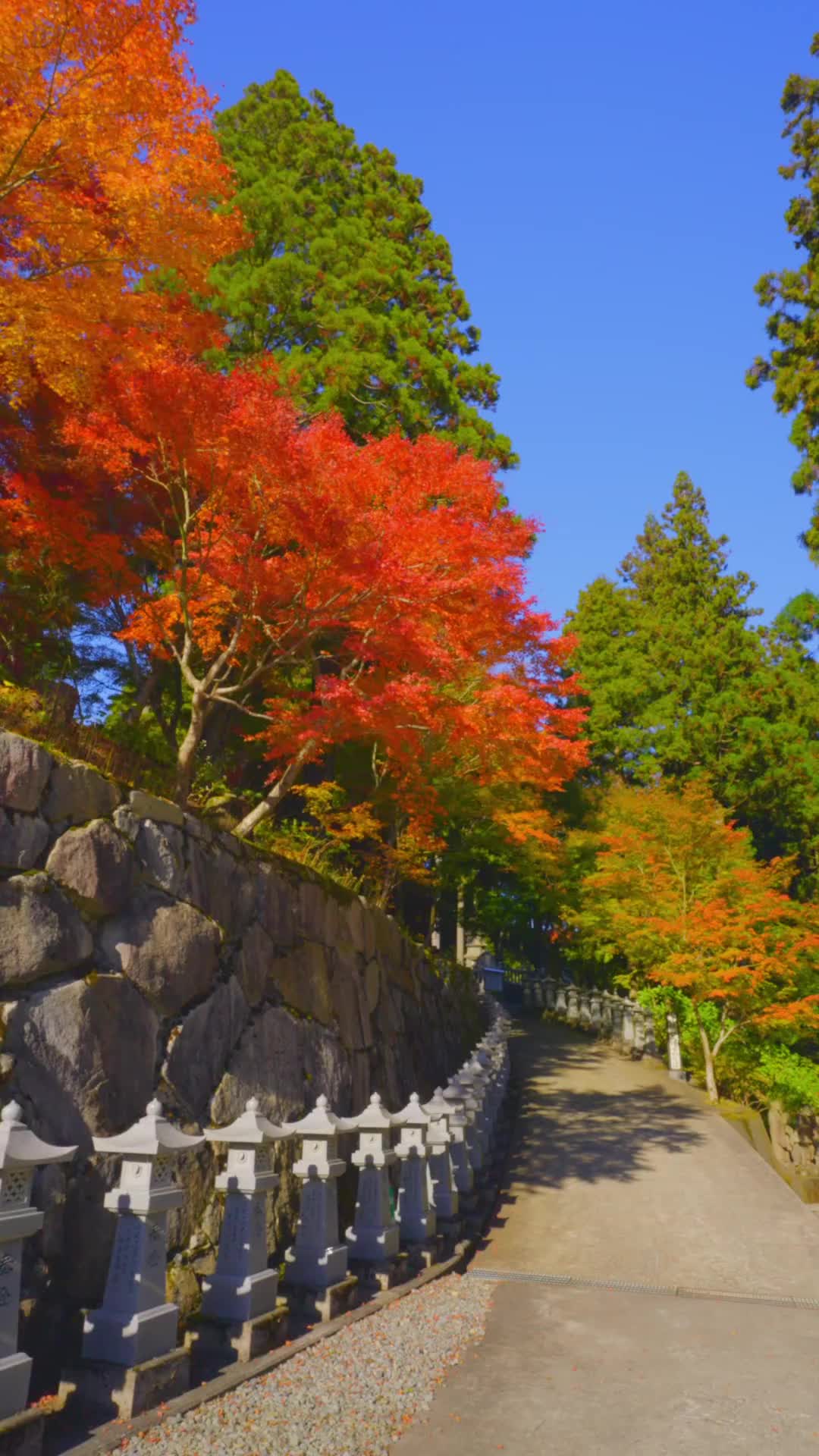 Stunning Autumn Colors at Unpenji Temple