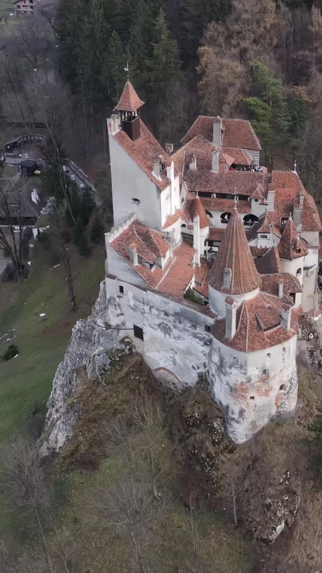 Discover Dracula's Castle in Transylvania