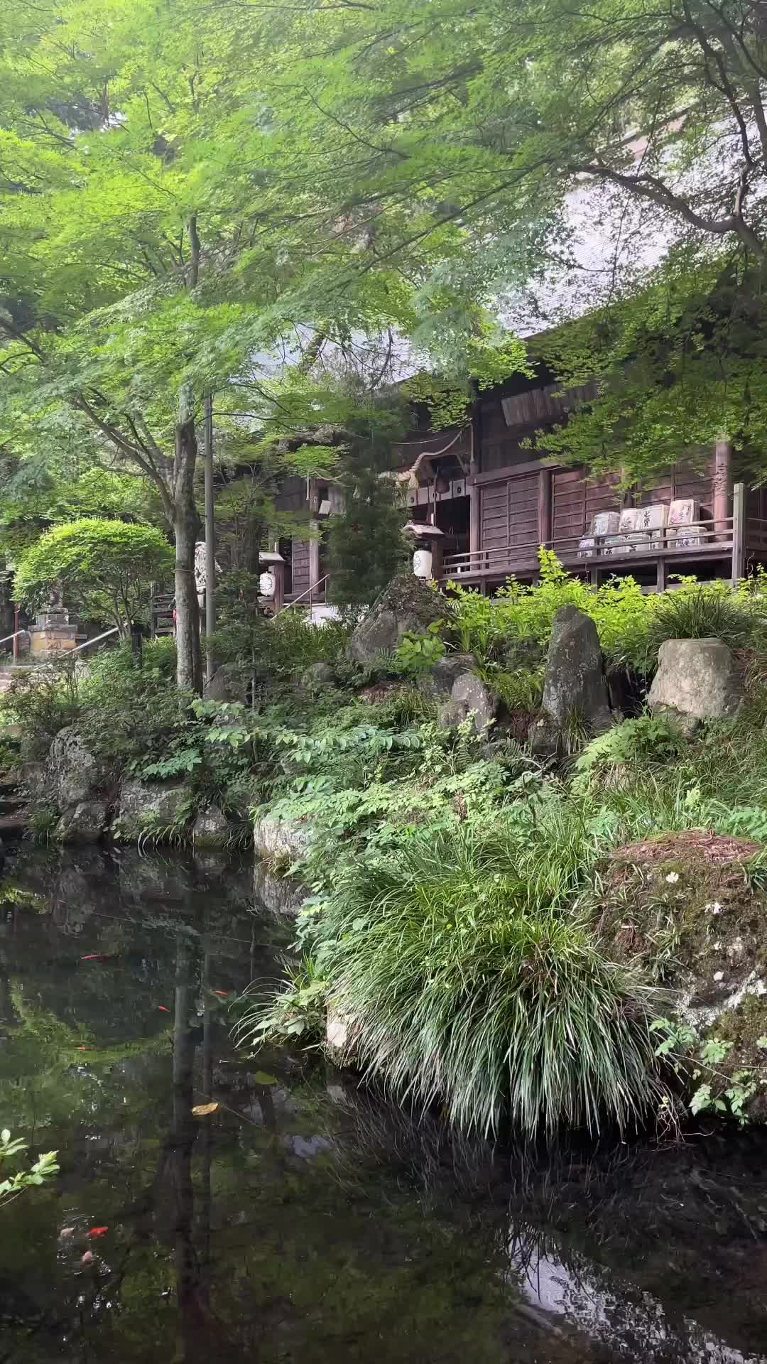 Discover Tranquility at Kawaguchi Asama Shrine, Japan