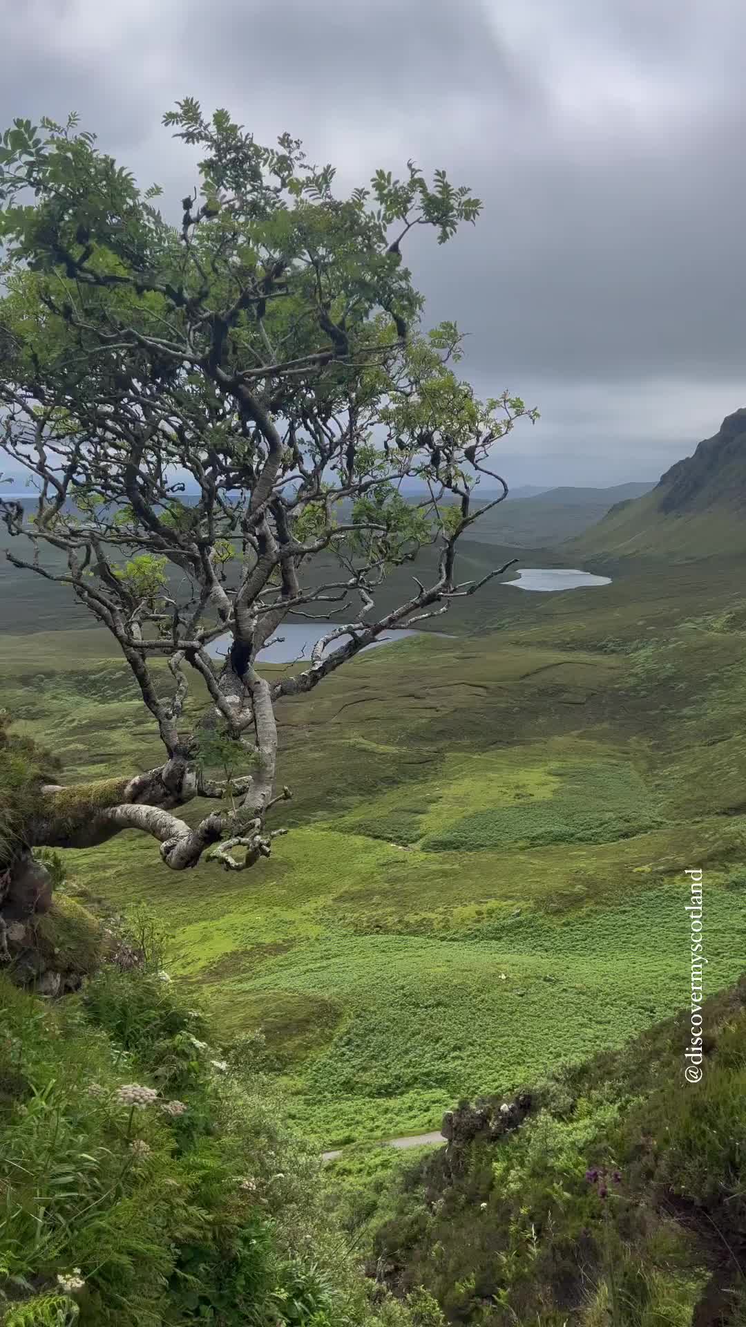 ✨Quiraing, Isle of Skye - Stunning Natural Beauty