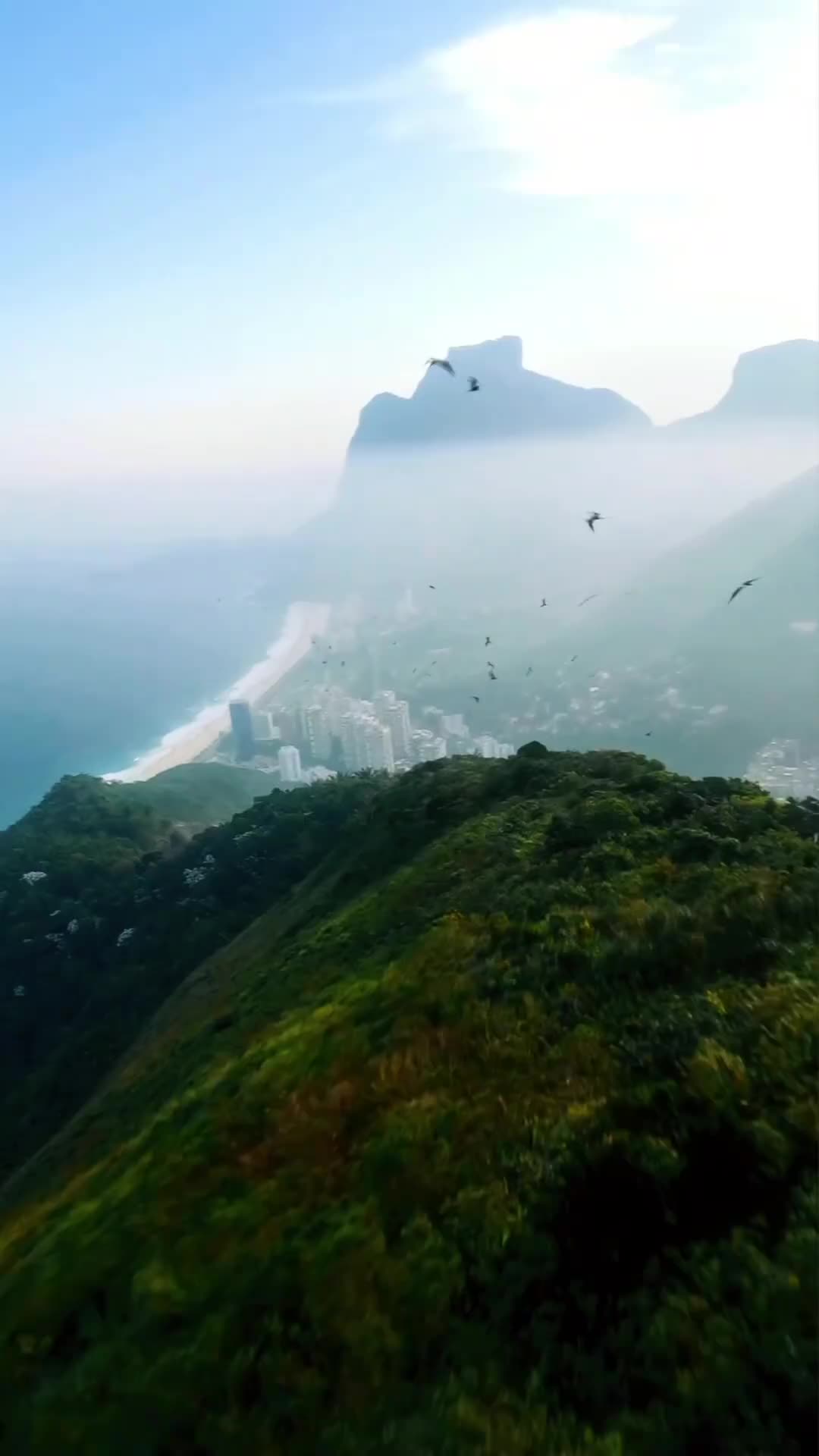 Dois irmãos sin duda fue otra gran experiencia que me dejó esta hermosa ciudad 💕#riodejaneiro💕

@fpvstore.co @corona @airvuzfpv @airvuz @gopro @goprocol @reelsteady @fpvamazing @fpvmagazine @fpv_crate @fpvclips @fpv.creator @ozcrias @gemfanhobby #gopro #goprocolombia #gopronaked #cinelifter #cinewhoop #gemfan #fpvstore #fpvamazing #fpvmagazine #fpvdrones #fpvcreator #fpvclips #airvuzfpv #airvuz #djifpvsystem #beautiful #brasil #cristoredentor #riodejaneiro #corona #doisirmãos