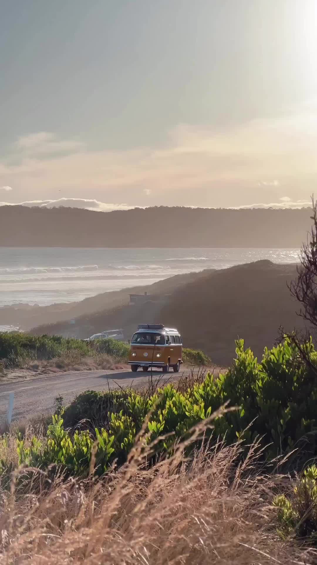 Exploring Cloudy Bay with Stella: A VW Adventure