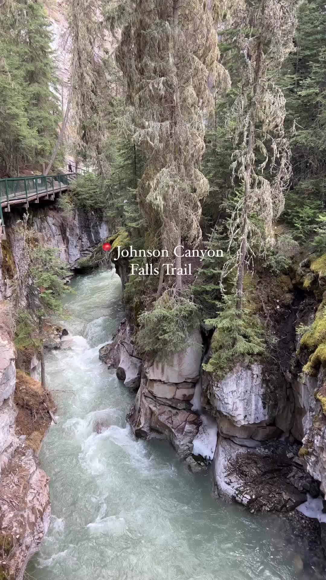 Johnston Canyon Falls Trail: Scenic 5.2 Km Adventure