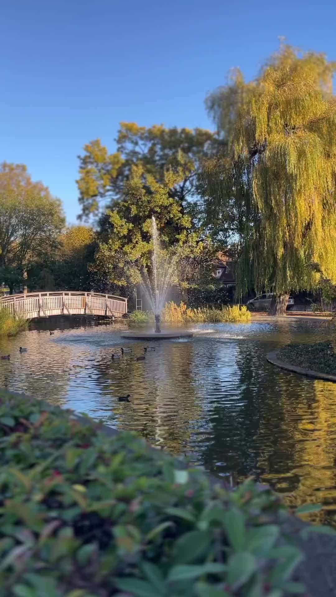 Discover the Beauty of Clapton Pond in London