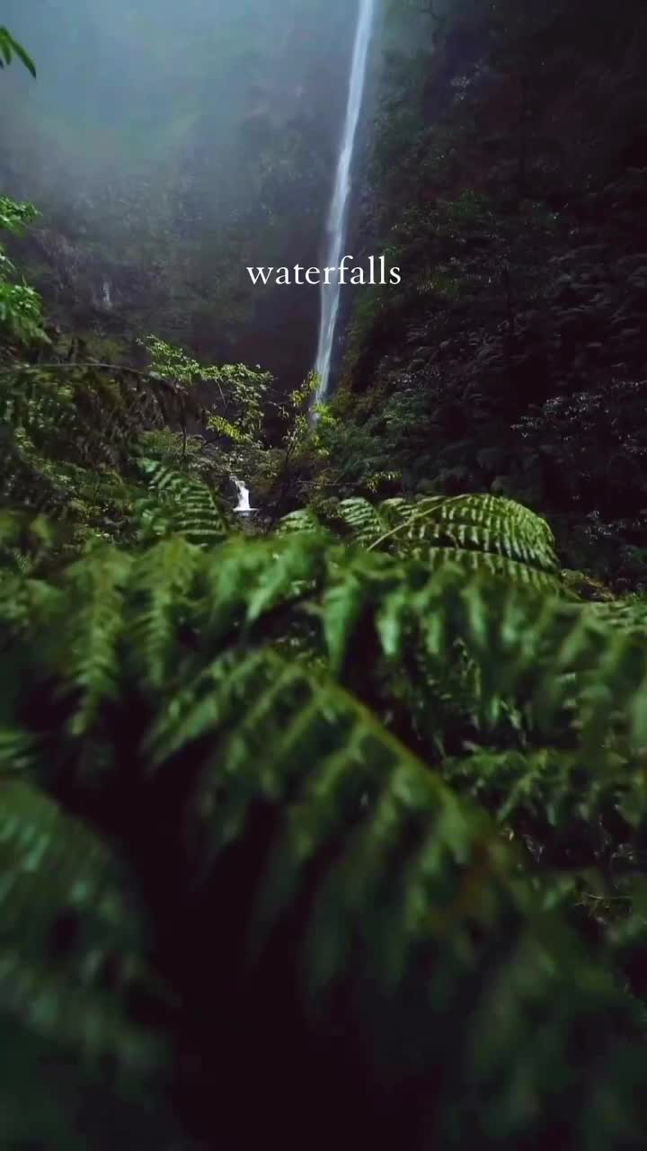 The island has everything you could ever ask for in terms of nature’s beauty. 

💾 Save this for future reference 

💙You can see waterfalls that look like they’re straight out of a movie (my personal favorite is Risco), 

🐄 chill in meadows that are straight out of a fairytale (Fanal is where it’s at), 

🌊 explore coastlines with jaw-dropping views (Ponta de São Lourenço is a must-visit), 

🗻go on hikes with views that’ll take your breath away (Pico do Areeiro is a must-do), 

🐬watch with dolphins (yes, you read that right), 

🪨 marvel at rock formations (Ribeira da Janela is a personal fave).

✨ follow @nesuxi and share if you liked it ✨

I promise you, Madeira Island is the perfect blend of relaxation and adventure.