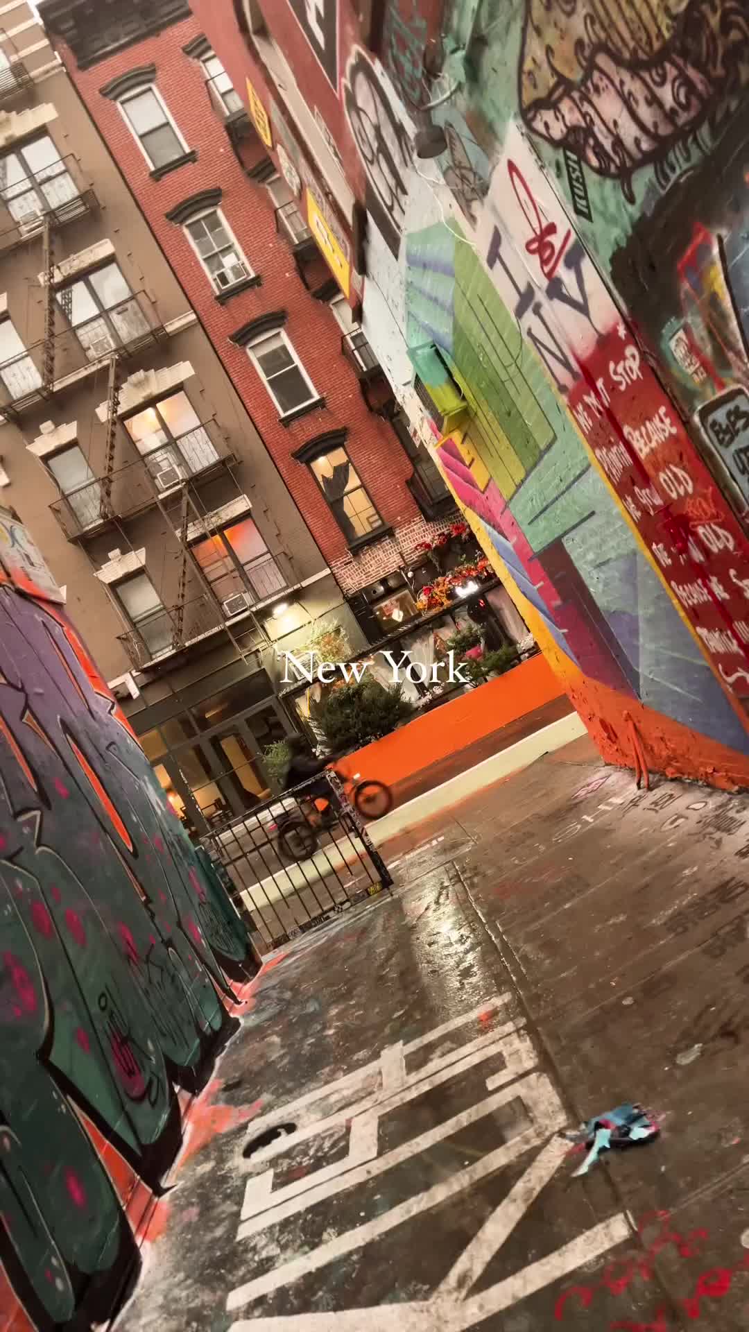 Discover Freeman Alley: NYC's Urban Art Haven