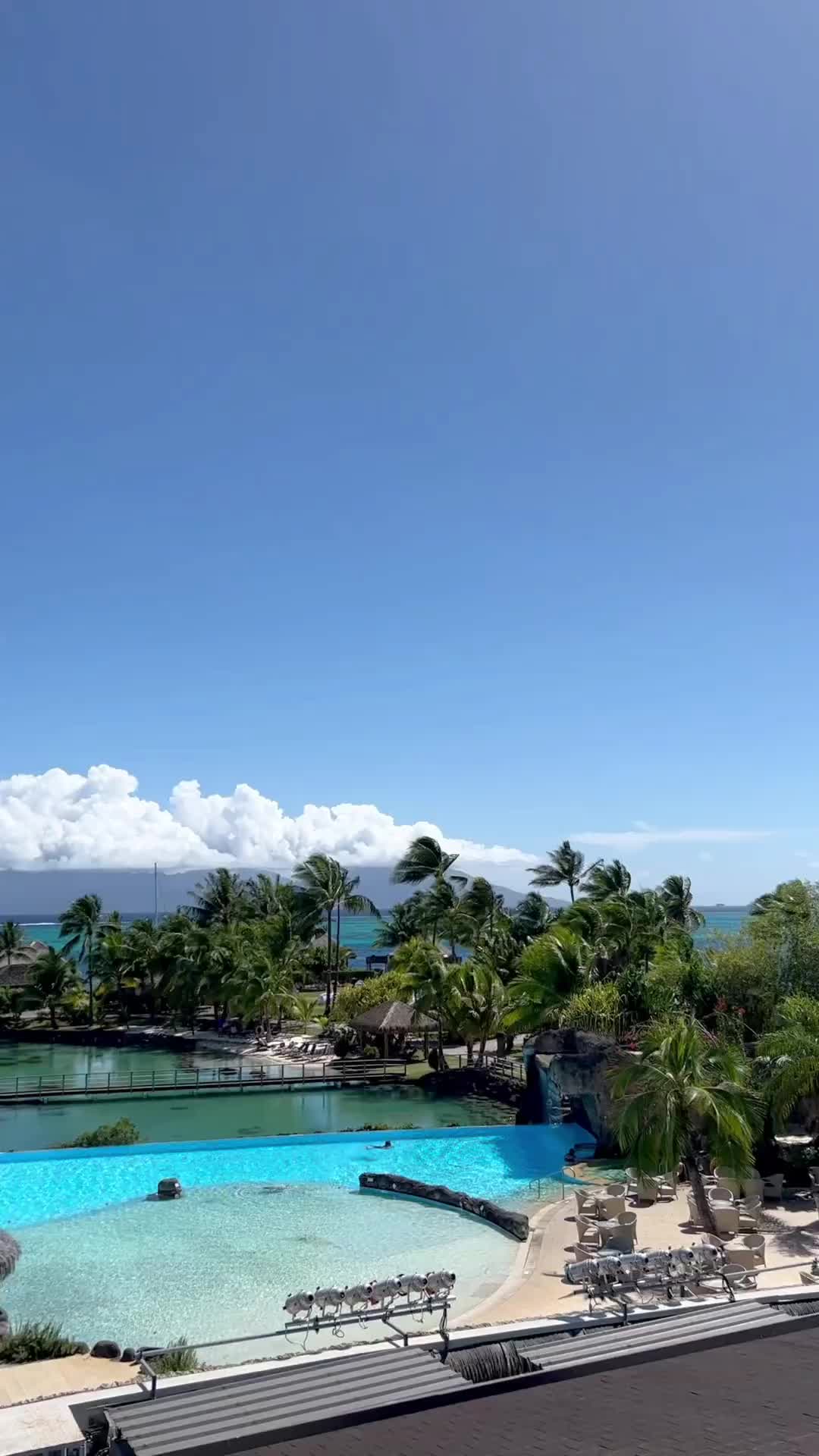 The @icfr_polynesia is proof that you can find paradise just 5 minutes from the airport. Considering the time is takes to travel there from the US, this is an excellent discovery. With hotel rooms and overwater bungalows, stunning views of Moorea, and several restaurants, this property is a great choice for a stay on Tahiti. #compassandtwine •
•
•
•
•
•
#ICTahiti #intercontinentaltahiti #frenchpolynesia #lovetahiti #beautifulhotels