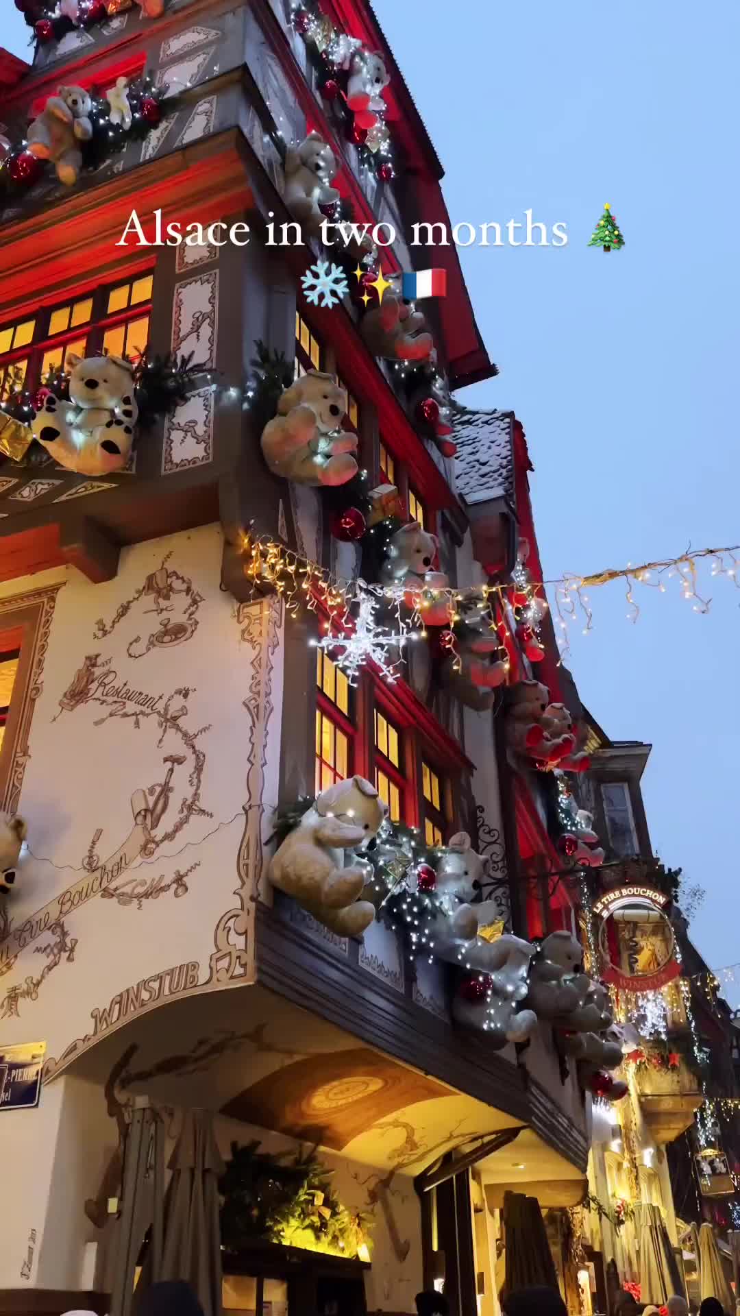 Explore Magical Alsace at Christmas Time