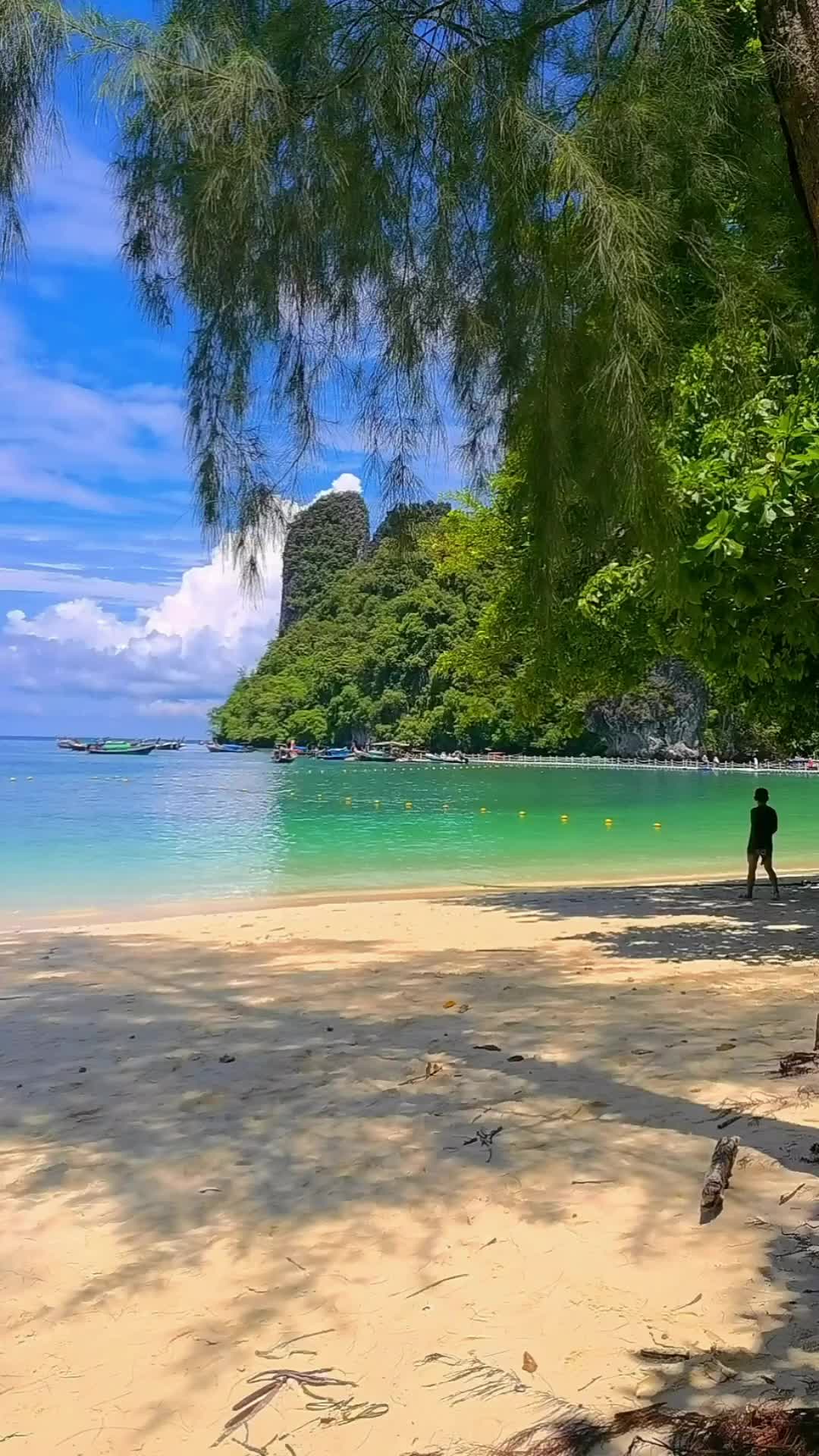 Choosing Where to Swim in Paradise - Koh Lanta, Thailand