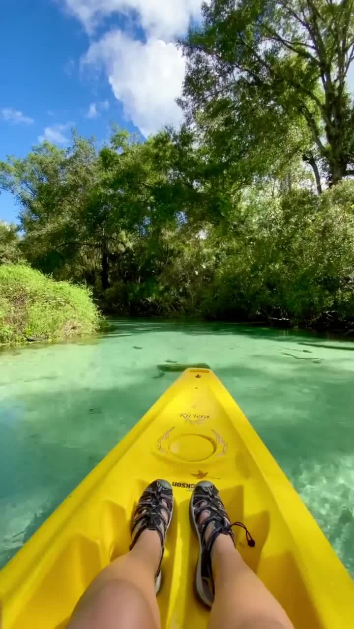 Discover Amazing Springs in Florida at Kings Landing