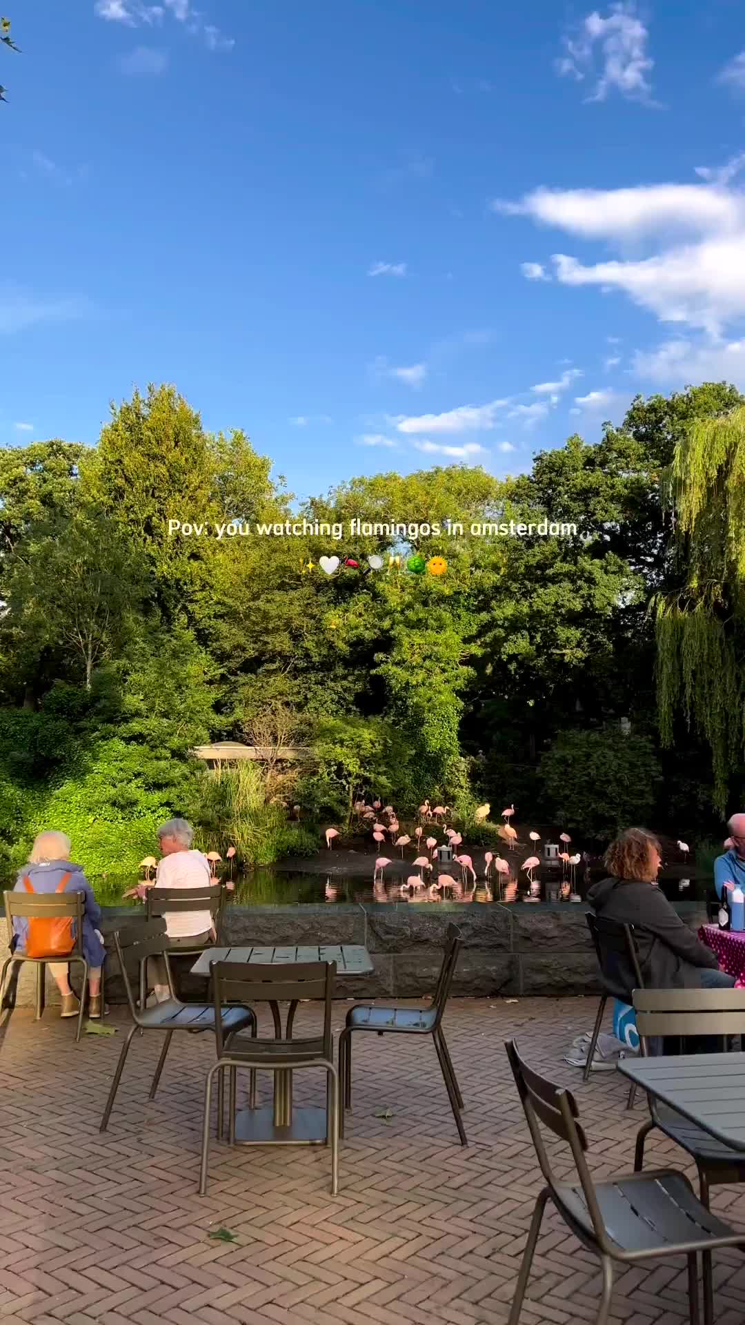 Watch Flamingos for Free in Amsterdam's De Plantage Garden