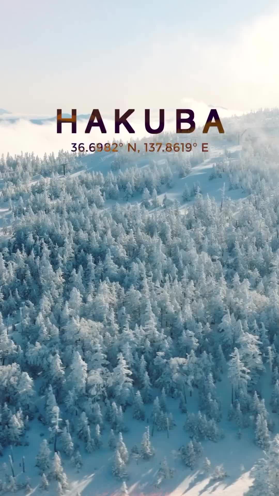 Hakuba Ski Fields: Japan's Winter Wonderland