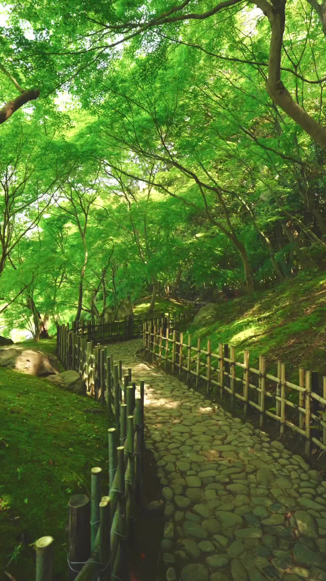 Explore Ritsurin Garden: Japan's Largest Scenic Beauty