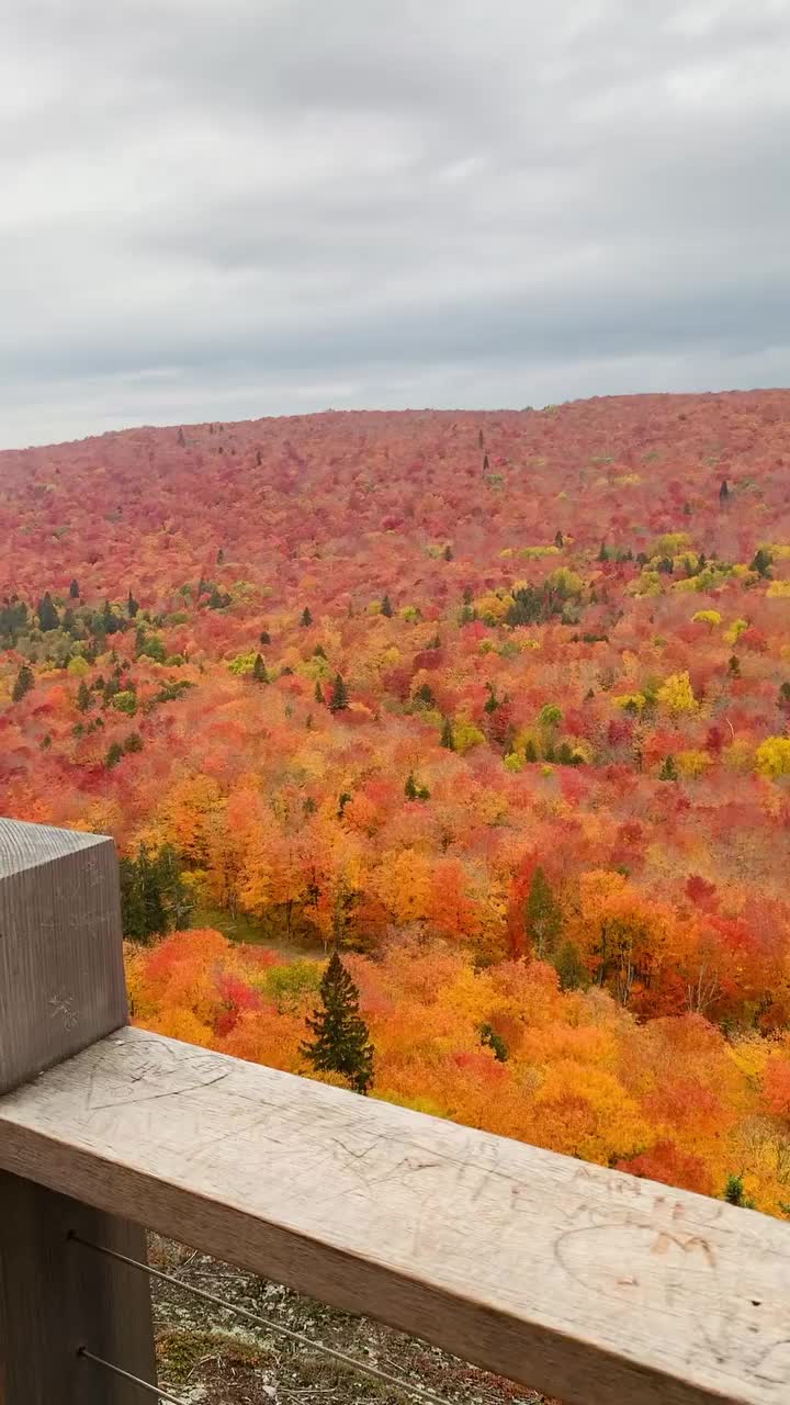 Breathtaking Fall Views in Lutsen, Minnesota 🍂