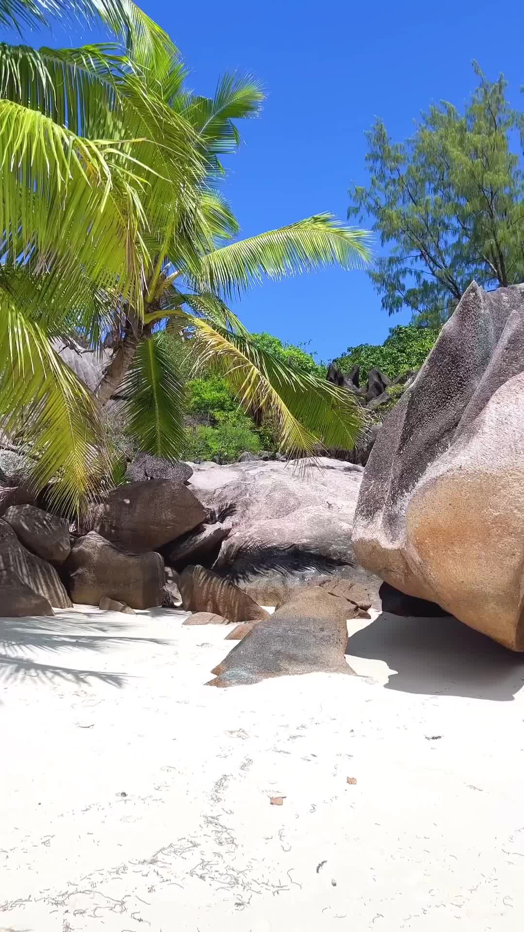 Discover the Beauty of Seychelles Islands
